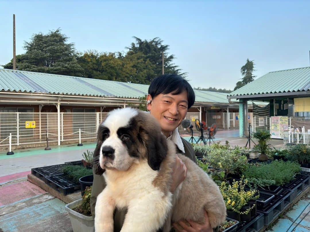 依田司のインスタグラム：「11月1日（水） きょう１１月１日は「わんわんわんの日」ということで…茨城県にある日本最大級の犬のテーマパーク『つくばわんわんランド』から。 コチラには、９０種およそ１０００頭の犬が暮らしていて、触れ合うことはもちろん、愛犬を連れて遊ぶこともできます。 そして、見逃せないのが遊び盛りの子犬たち。８月、９月に生まれたトイプードルやミニチュアダックスフント、セントバーナードの子犬もいます。 さらに、本日限定ではありますが、来園時に「グッド！モーニング見た」で、入場料を半額にしてくれるそうです。お近くの方はぜひ。  #つくばわんわんランド #CHUMS #チャムス #依田さん #依田司 #お天気検定 #テレビ朝日 #グッドモーニング #気象予報士 #お天気キャスター #森林インストラクター #グリーンセイバーアドバンス #プロジェクトワイルド #IPCC伝導者 #japan #japantrip #japantravel #unknownjapan #japanAdventure #japanlife #lifeinjapan #instagramjapan #instajapan #療癒 #ilovejapan #weather #weathercaster #weatherforecast」