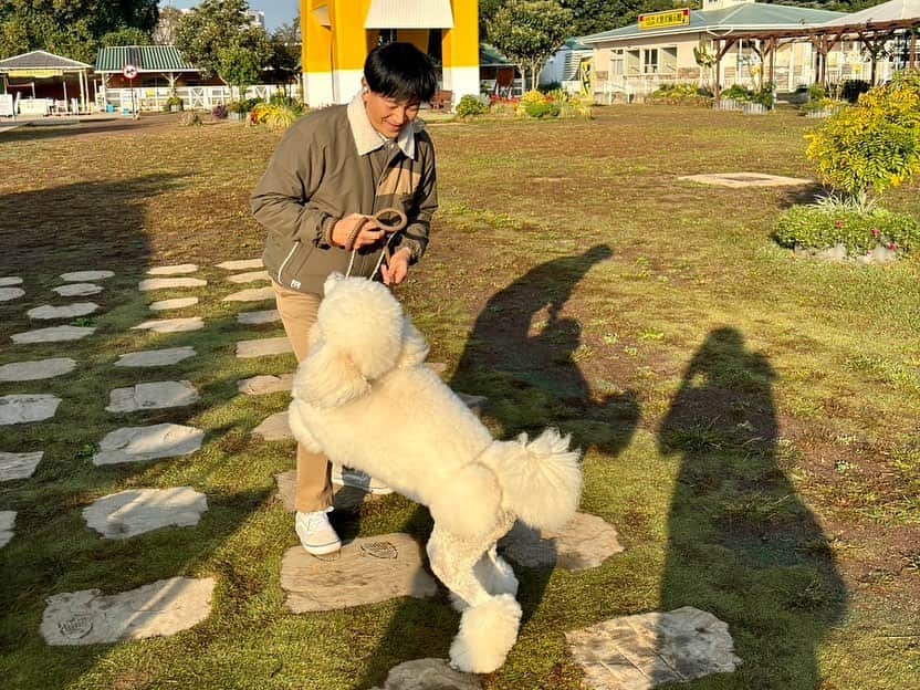 依田司さんのインスタグラム写真 - (依田司Instagram)「11月1日（水） きょう１１月１日は「わんわんわんの日」ということで…茨城県にある日本最大級の犬のテーマパーク『つくばわんわんランド』から。 コチラには、９０種およそ１０００頭の犬が暮らしていて、触れ合うことはもちろん、愛犬を連れて遊ぶこともできます。 そして、見逃せないのが遊び盛りの子犬たち。８月、９月に生まれたトイプードルやミニチュアダックスフント、セントバーナードの子犬もいます。 さらに、本日限定ではありますが、来園時に「グッド！モーニング見た」で、入場料を半額にしてくれるそうです。お近くの方はぜひ。  #つくばわんわんランド #CHUMS #チャムス #依田さん #依田司 #お天気検定 #テレビ朝日 #グッドモーニング #気象予報士 #お天気キャスター #森林インストラクター #グリーンセイバーアドバンス #プロジェクトワイルド #IPCC伝導者 #japan #japantrip #japantravel #unknownjapan #japanAdventure #japanlife #lifeinjapan #instagramjapan #instajapan #療癒 #ilovejapan #weather #weathercaster #weatherforecast」11月1日 9時05分 - tsukasa_yoda