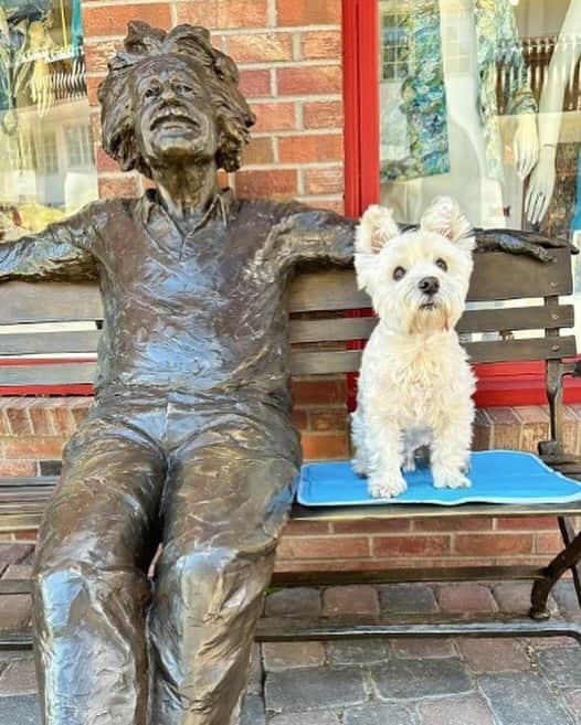アルベルト・アインシュタインのインスタグラム：「When your dog’s name is Einstein, and you see an Einstein statue, of course you take a picture. 🐶 📸」