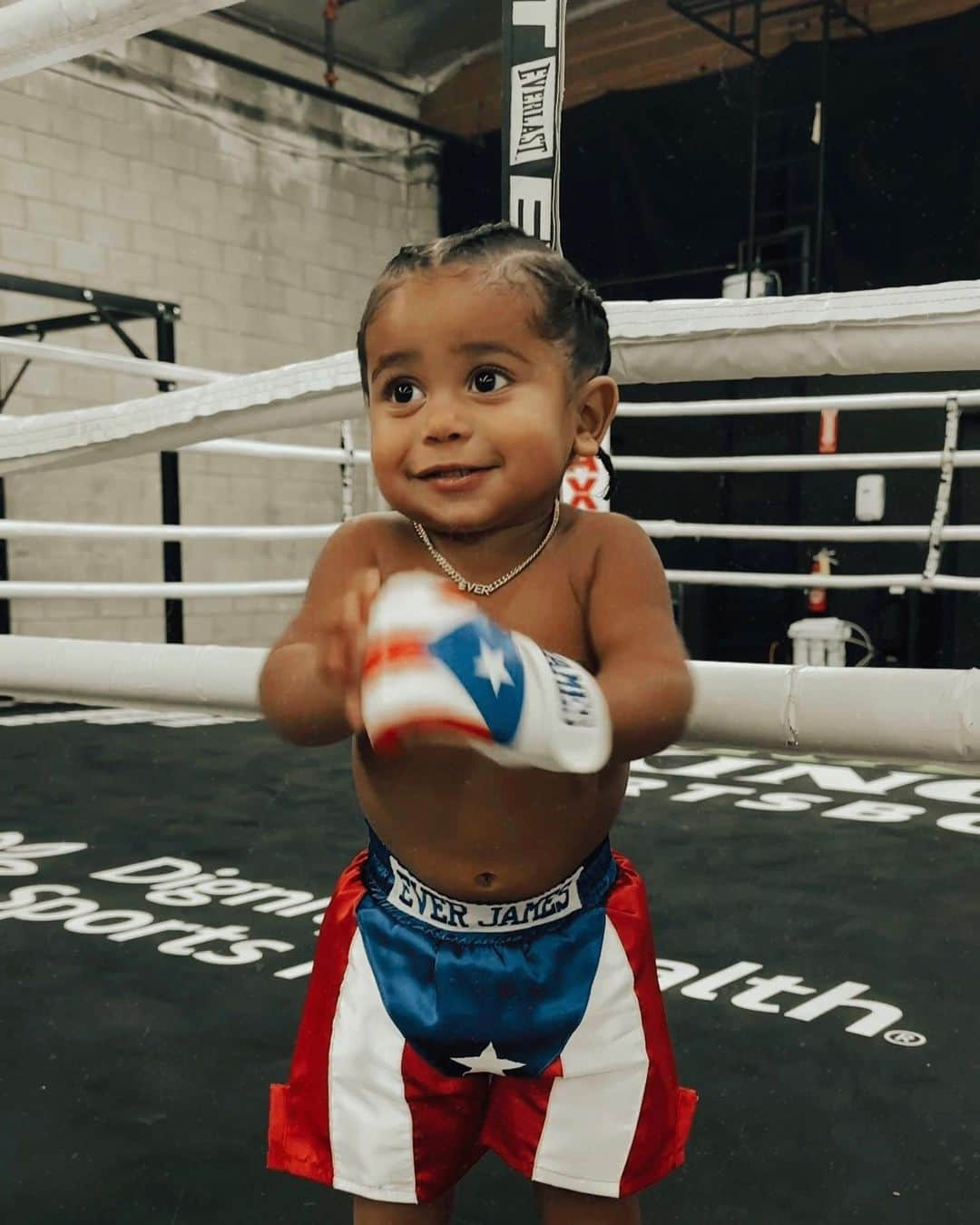 エイドリアン・バイロンさんのインスタグラム写真 - (エイドリアン・バイロンInstagram)「“SWEET BABY JAMES” 🥊🇵🇷」11月1日 9時25分 - adriennebailon