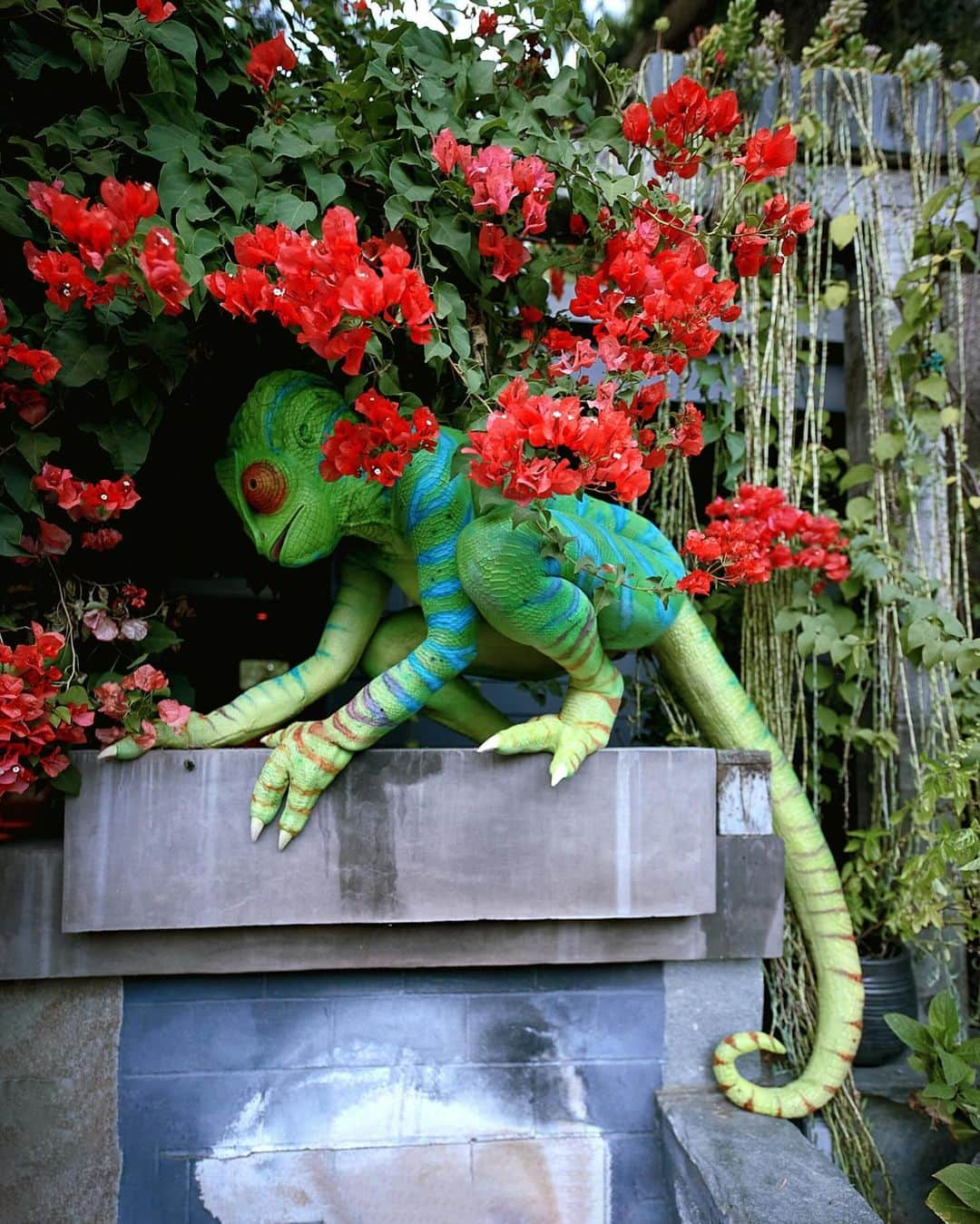 ジャネル・モネイさんのインスタグラム写真 - (ジャネル・モネイInstagram)「one in a chameleon💚🦎🌴🍀🌱:-)  📷: @masonrosephoto   Thank you glamily: @catpaschen @nikogonzalezfx @miranda.jory @littlemonsterdoll @lisette_santana  @mandelkorn   Custom prosthetics: @dyadmufx  additional prosthetics: @rbfx  @mageefx」11月1日 9時40分 - janellemonae