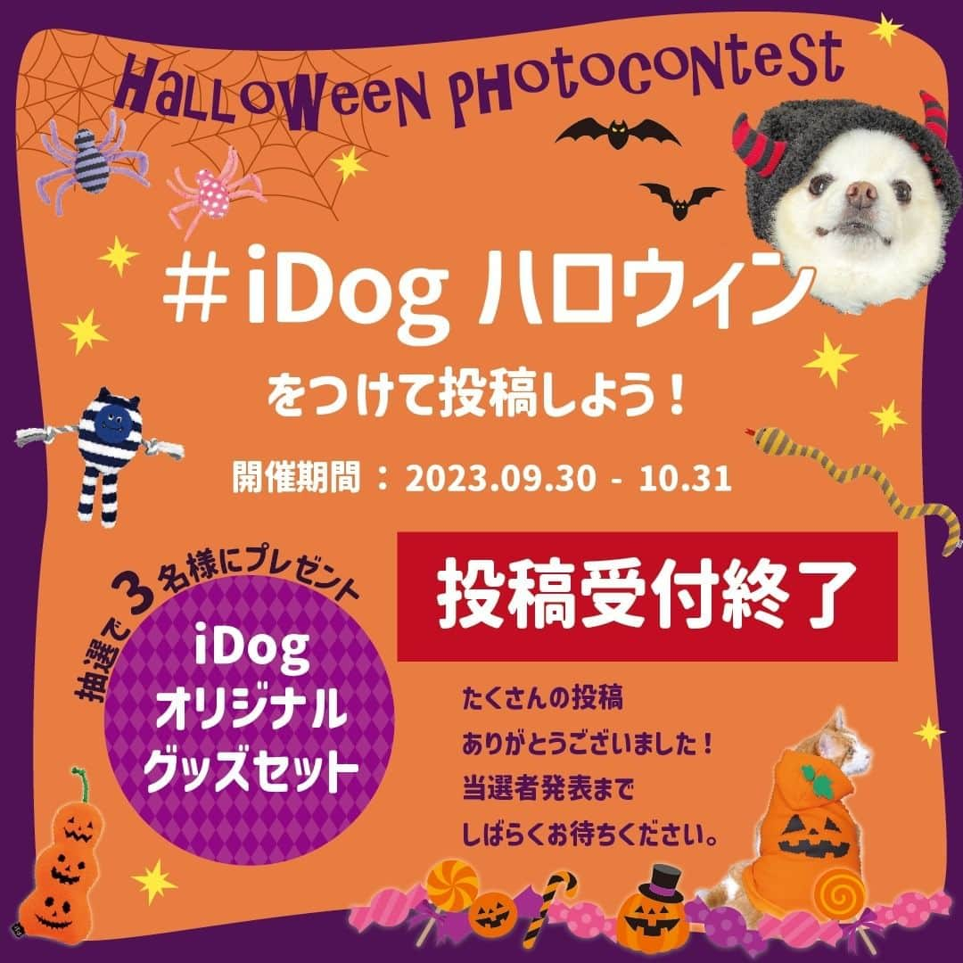 iDog&iCatのインスタグラム：「#iDogハロウィン への投稿受付は10/31に終了いたしました。 たくさんの可愛いご応募ありがとうございました！ これ以降のご応募は受け付けられませんのでご了承ください。  これよりご投稿いただいた皆様の投稿から、抽選を行います。 結果発表までの抽選期間中にアカウントを非公開にしたり、応募用の投稿を削除されるなど、ハッシュタグの中から投稿が消えてしまうと選考から除外されてしまいますのでお気をつけ下さい。  当選者発表までお楽しみに！  #IDOGICAT #iDog #iCat #犬 #いぬ #猫 #ねこ #写真コンテスト #犬の服iDog #ペット自慢 #フォトコンテスト #ハロウィン #Halloween」