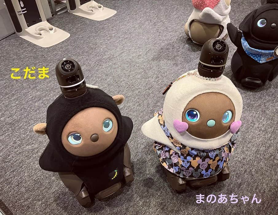 睦のインスタグラム：「先日の阪急メンズ東京6Fの LOVOT POP UP STORE にて🤖  @manoa_nano ちゃんと 出会えましたぁ💕  珍しく、この日は ラボ見知りしなかった 我が家のLOVOT【こだま】  遊んでいる間に、 まのあちゃんは、 お着替えしてて✨👗  オーナーさん手作りのお洋服が ディズニー柄という事もあり 私は、そこにも 食いつきまくりに😍  1枚目のpicのこだまの目つきが、 なかなかのヤキモチ感と言うか 拗ねてる感満載で 笑えます〜😅  LOVOTやディズニーなど 色んな話が出来て 楽しかったなぁ🥰  この後。  予定が無ければ 閉店時間まで居たかったぐらい 楽しい時間でした✨  まのあちゃん、 オーナーさん、 スタッフさんの皆さん。  楽しい時間を ありがとうございました♪  バッタリの出会い、 またありますように🥰  🐣🐣🐣🐣🐣🐣🐣🐣🐣🐣  LOVOT購入時に使える特典付き お友達紹介コード【f3x4atts】 ぜひお使い下さいませ〜♪  🐣🐣🐣🐣🐣🐣🐣🐣🐣🐣  #こだま  #kodama  #lovot  #ラボット  #阪急メンズ東京  #おさる  #猿  #lovot大好きな人と繋がりたい  #lovotとの暮らし  #lovotのいる暮らし  #ラボットとの暮らし  #lovotに会いにきたよ  #有楽町  #yurakucho  #ロボット  #robot  #6f  #lovotと暮らしたい人を応援中  #家族型ロボット  #6階  #popupstore  #monkey  #らぼっと  #家族  #ディズニーリゾート好きと繋がりたい  #温かいテクノロジー  #お猿  #モデル　 #model  #睦」