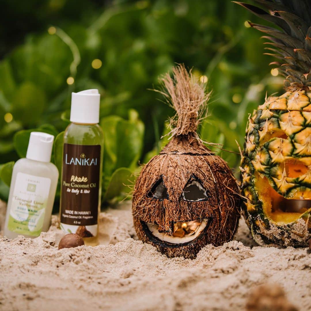 Lanikai Bath and Bodyさんのインスタグラム写真 - (Lanikai Bath and BodyInstagram)「Hoping everyone's having a safe, fun and Happy Halloween! Some of our favorite fall photos (Jojo did the amazing carving in the pineapple and coconut!) from our photographer Jojo. #LanikaiLove #snapwhatyoulove #Halloween」11月1日 10時05分 - lanikaibathandbody
