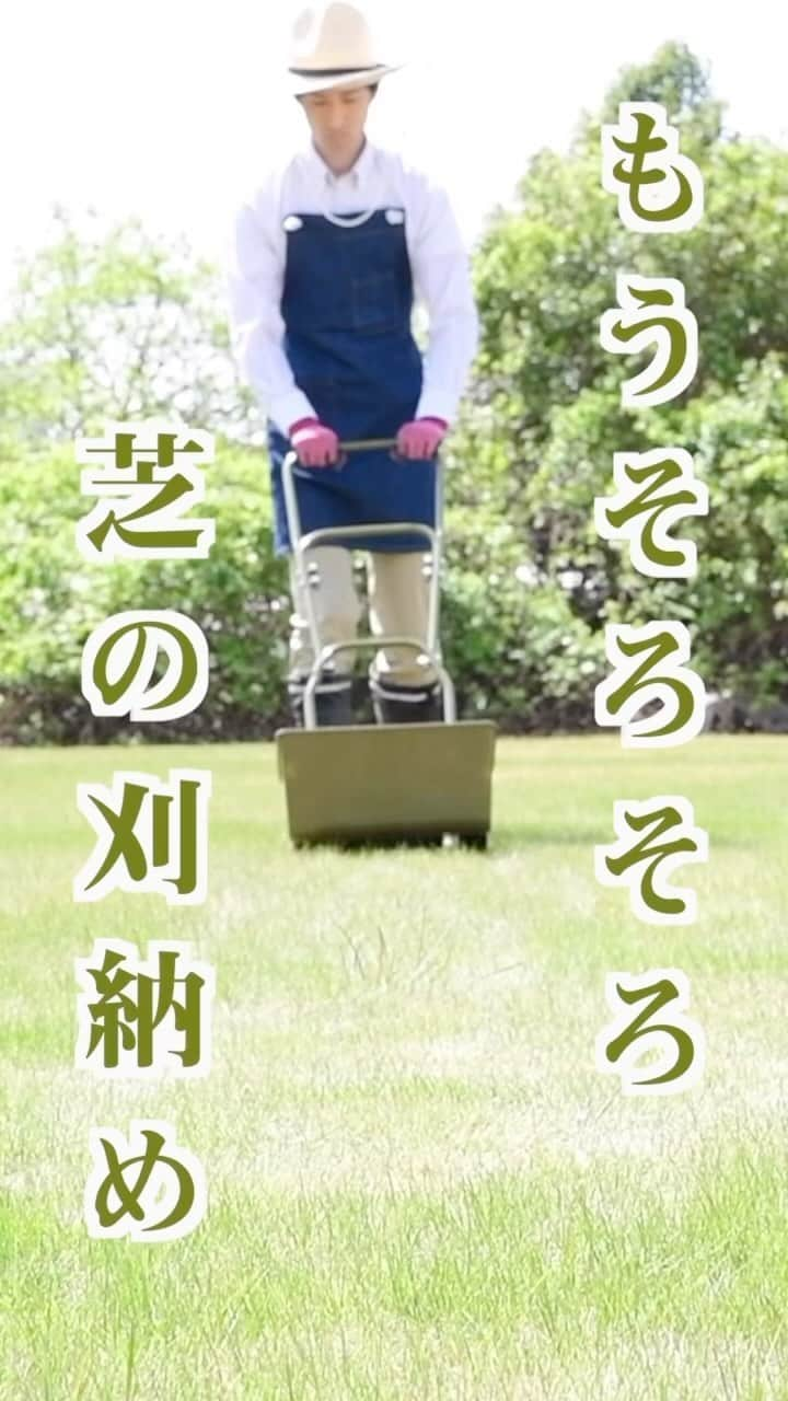 株式会社 山善のインスタグラム：「だいたい10月まで芝って伸びるもんですけど、 今年は暑いからまだ芝伸びちゃうんですよね。 でも最後の最後で一回芝刈りしておかないと来年変な感じになっちゃうんですよね。 で、来年のためにも芝刈り一発いっとこうぜ！ =================== YAMAZEN 芝刈り機 KKM-200  プロフィールのリンクから詳細はご覧いただけます。 @yamazen_official ===================  #YAMAZEN#山善#芝刈機#芝刈#芝#庭#お手入れ#暑い#夏#雑草#みどり#お庭」