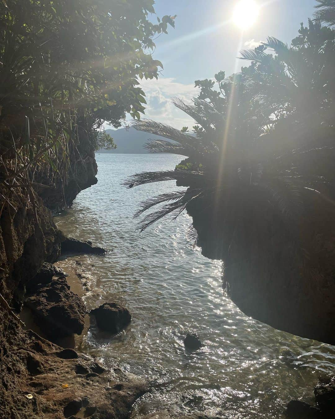 木下ココのインスタグラム：「気持ち良い~🥰 良い気が流れてる🌿🌿 ・ ・ ・ #naturegeography  #okinawa #沖縄 #撮影 #オフショット #石垣島 #自然 #リゾート #旅 #木下ココ」