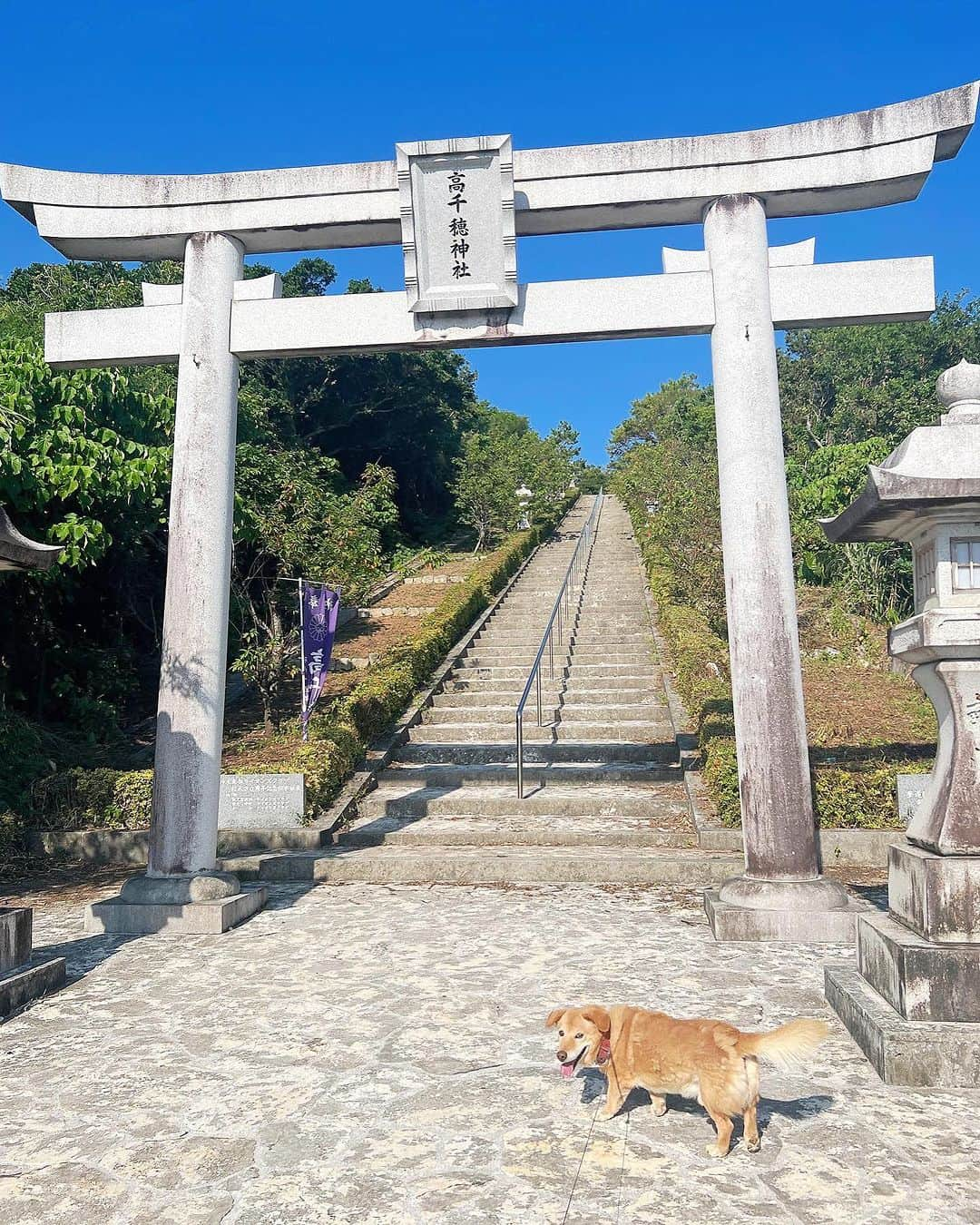 大山百合香さんのインスタグラム写真 - (大山百合香Instagram)「🐕🚶‍♀️  愛おしい時間が いっぱいです♡  love❤️‍🔥  #沖永良部島 #エラブ #eLove」11月1日 10時46分 - ohyamayurika