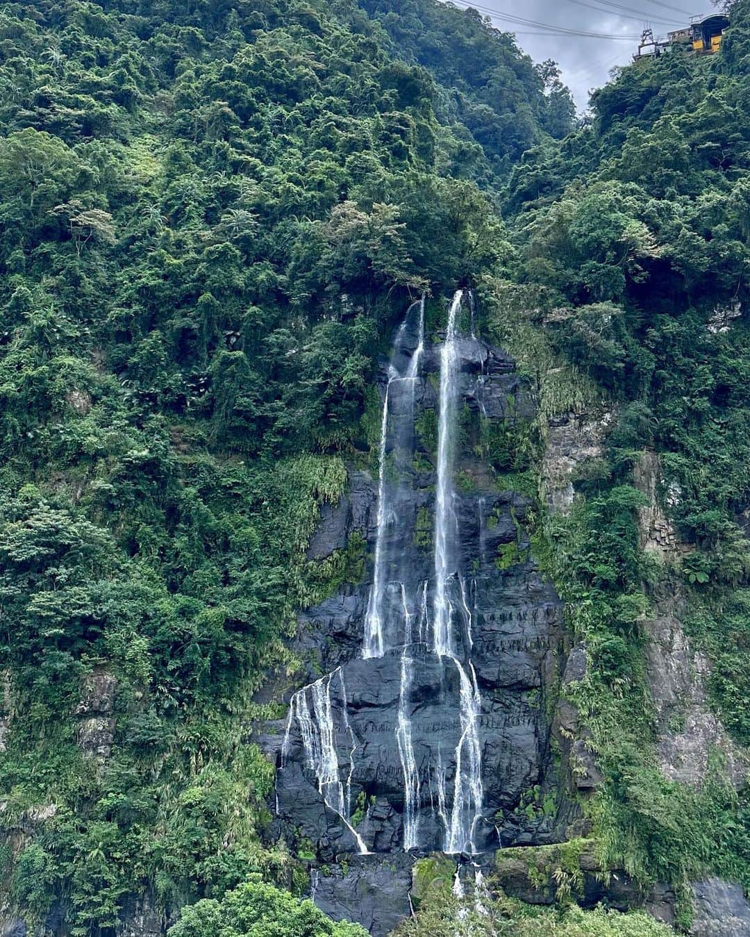 田中千絵さんのインスタグラム写真 - (田中千絵Instagram)「🧋台北生活🧋  10月は 日本からたくさんの友人が 台湾に仕事と遊びで来てくれました！ そして我が家のトニーさんも 今年3回目の訪台✈️✈️✈️ @tonyslaboratory_2020  たくさん笑って 美味しいご飯もみんなと一緒に食べられて 最高に楽しかったです( ´▽` )ﾉ  𓏲10月は2回も訪れた台北101  𓏲陽が沈むまでいた101の展望台から(友人撮影)  𓏲今年2回目の寧夏夜市。昔、ここの近所に住んでいたのでよく来ました。相変わらずの賑わいです！  𓏲寧夏夜市でいただいた友人リクエストのルーロー飯！  𓏲円山飯店も今年に入って何回も訪れました。こちらのホテルの装飾は、何度訪れても圧巻です🐉  𓏲久しぶりにウーライ滝にも行ってきました！  𓏲ウーライで出会った本物の眠り猫  来年もたくさんの日本の方たちに 台湾を訪れてもらって そして 台湾を大好きになってもらいたいです！  さぁ！ 今月からは気持ちを新たに 《BIG》のプロモーション頑張ります💙❤️💙 . Spent happy time in October with my Japanese friends and my family in Taiwan ( ´▽` )ﾉ . 10月份 好多日本友人來台灣工作&觀光！ 我家的東尼爸爸也是今年第三次的來台✈️✈️✈️ @tonyslaboratory_2020  這個月真的有點笑過頭，哈 也跟他們一起吃好多美食 過了非常幸福的時光( ´▽` )ﾉ  𓏲10月份來兩趟的台北101  𓏲在101的展望台看見太陽下山(朋友拍的照片)  𓏲今年第二次來了寧夏夜市。以前我住這附近，所以那時常來的。現在也一樣非常熱鬧啊！  𓏲在寧夏夜市吃的我朋友口袋名單中的魯肉飯！  𓏲圓山飯店也是今年來了好幾趟。飯店內的裝飾再看幾次還是會覺得非常壯觀🐉  𓏲也好久不見的烏來瀑布！  𓏲在烏來相遇的睡貓咪  期待明年也好多日本朋友繼續來台灣玩 也希望他們都會喜歡上這塊美麗土地！  接下來我就開始好好的跑《BIG》的宣傳囉💙❤️💙 . . . #台湾 #台灣 #taiwan  #台北 #台北 #taipei #台湾旅行 #台灣旅行 #exploringtaiwan  #台北101 #taipei101 #寧夏夜市 #魯肉飯 #ルーロー飯  #圓山大飯店  #烏來 #ウーライ #烏來瀑布  #台北と東京の生活  #中国語」11月1日 11時28分 - chietanaka817