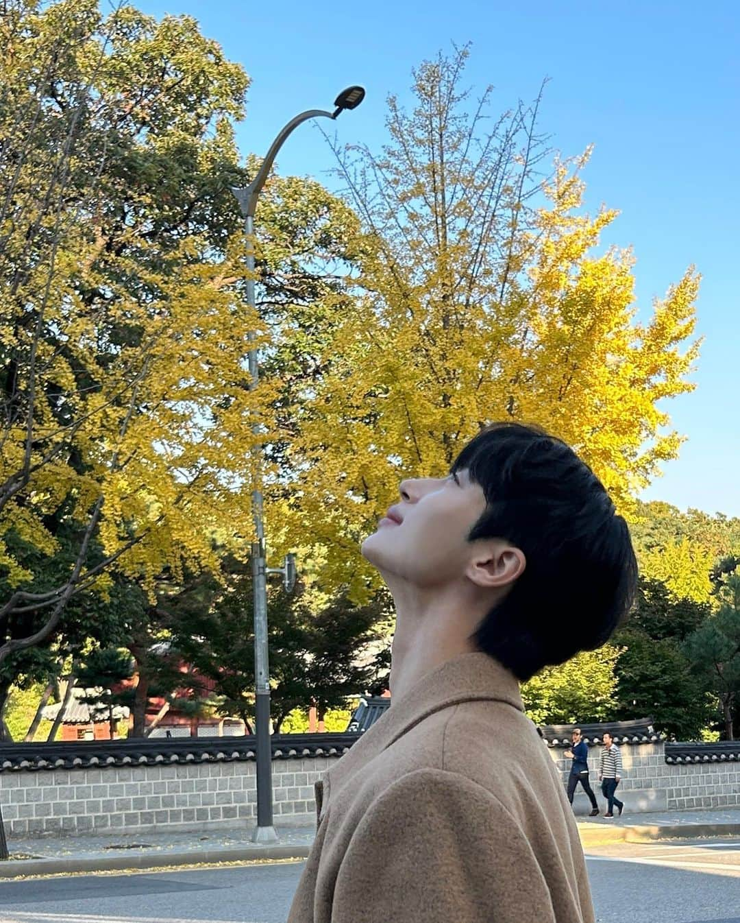 ビョン・ウソクさんのインスタグラム写真 - (ビョン・ウソクInstagram)「감사합니다」11月1日 11時28分 - byeonwooseok