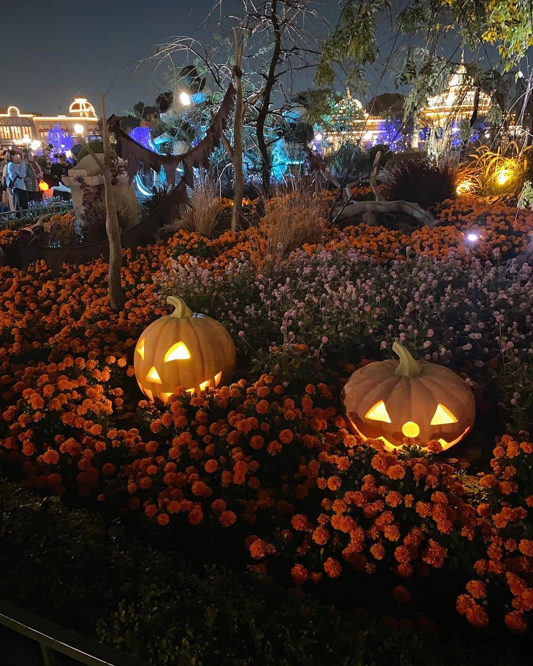 潮田玲子さんのインスタグラム写真 - (潮田玲子Instagram)「笑い転げたハロウィン🎃👻 今年も子供達はたくさん仮装していろんなところで楽しみました😂🙏 いつまで仮装楽しんでくれるかな〜🥹  #ハロウィン #お相撲さんになりました #チビのダンスが最高」11月1日 11時44分 - reikoshiota_official