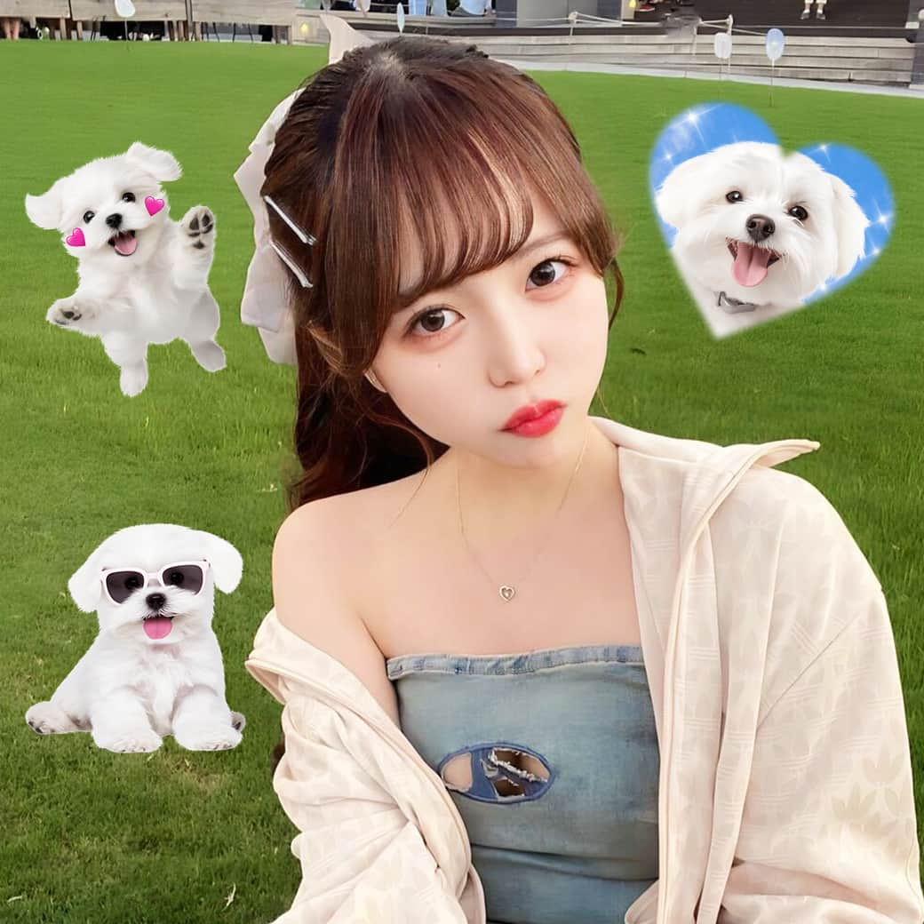 LINE Cameraさんのインスタグラム写真 - (LINE CameraInstagram)「今日は犬の日🐶🤍 新作スタンプをチェック👀💭 . Woof woof🐶 Dogs everywhere🤍 Don’t miss to check our new DOG stamps👀 . @nyan__hono . #linecamera #lineカメラ #ラインカメラ #かわいい #可愛い #cute #犬の日 #11月1日 #犬 #いぬ #イヌ #dog #dogs #マルチーズ #マルチーズ部 #maltese #愛犬 #わんこ #ペット #ふわもこ部 #犬のいる暮らし #いぬすたぐらむ #加工 #スタンプ #stamp #stamps」11月1日 12時00分 - linecamera_official