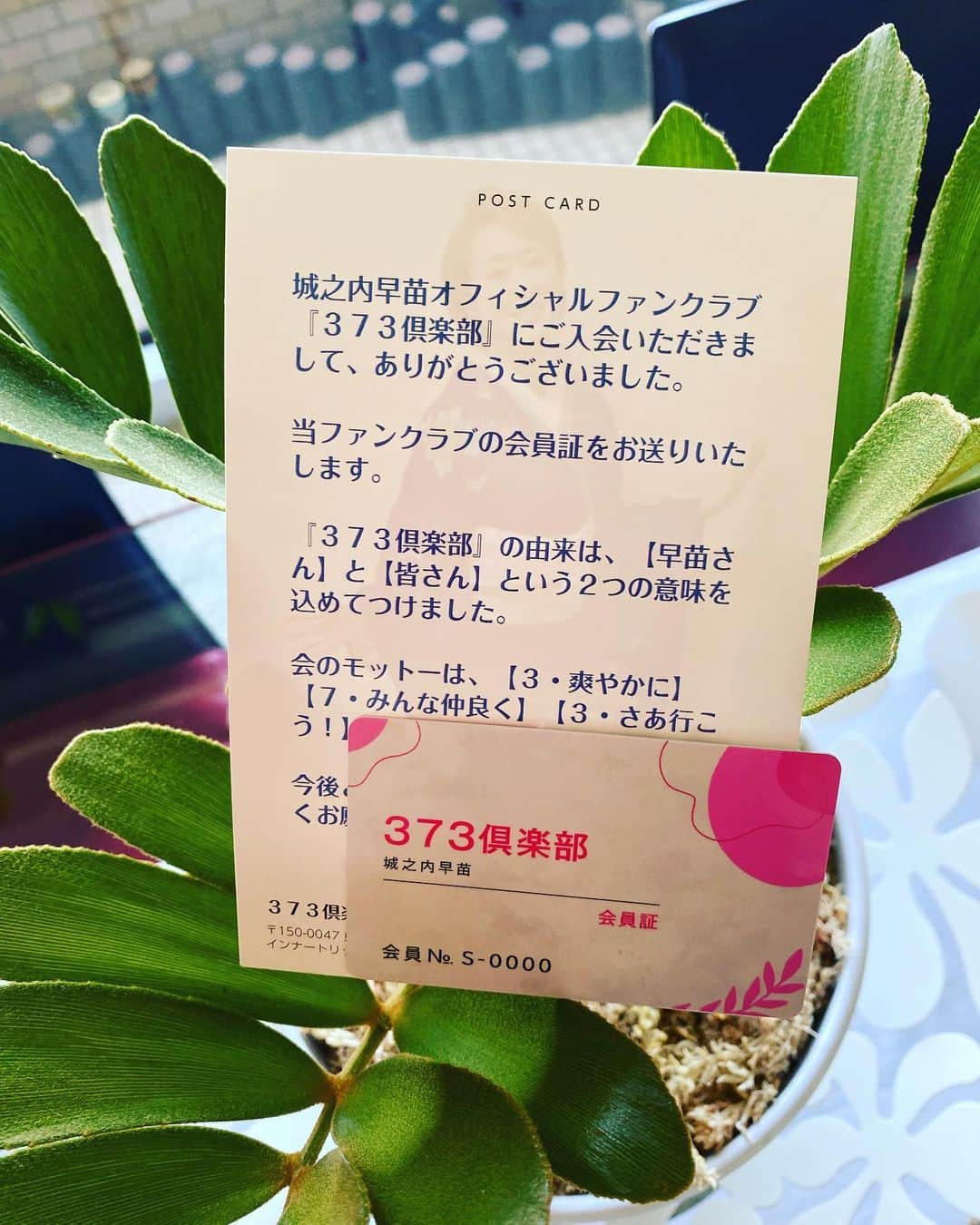 城之内早苗さんのインスタグラム写真 - (城之内早苗Instagram)「本日‼️2023.11.1 ファンクラブ 【373倶楽部】スタート‼️です。 少しずつ、沢山楽しい事できたら良いな！ 無事届いている方もいますかね😊 詳しくは〜  https://sanae-jyounouchi.online/ ご覧下さい❣️  #城之内早苗 #ファンクラブ #373倶楽部 #スタート」11月1日 12時11分 - sanae.jyounouchi_official