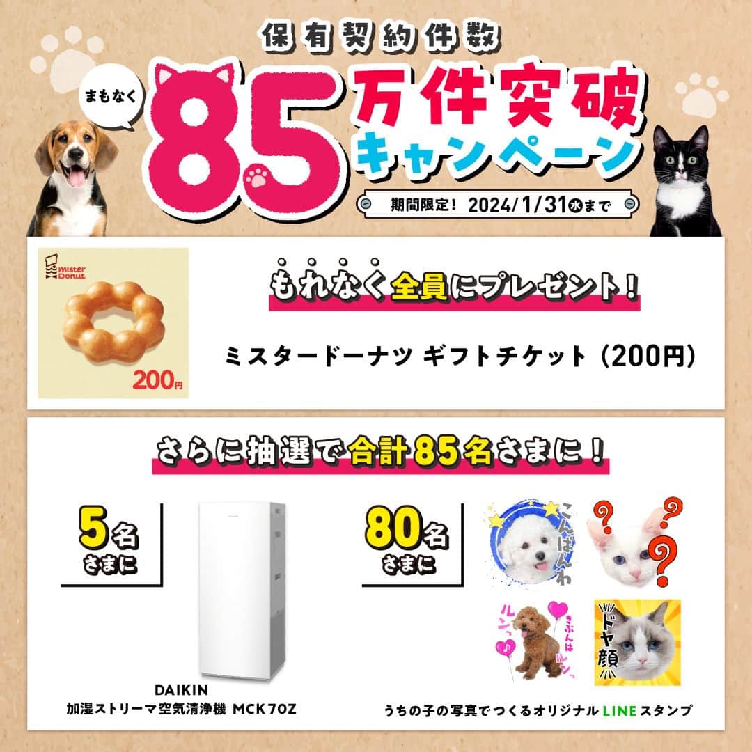 アイペット ペットスナップキャンペーンのインスタグラム