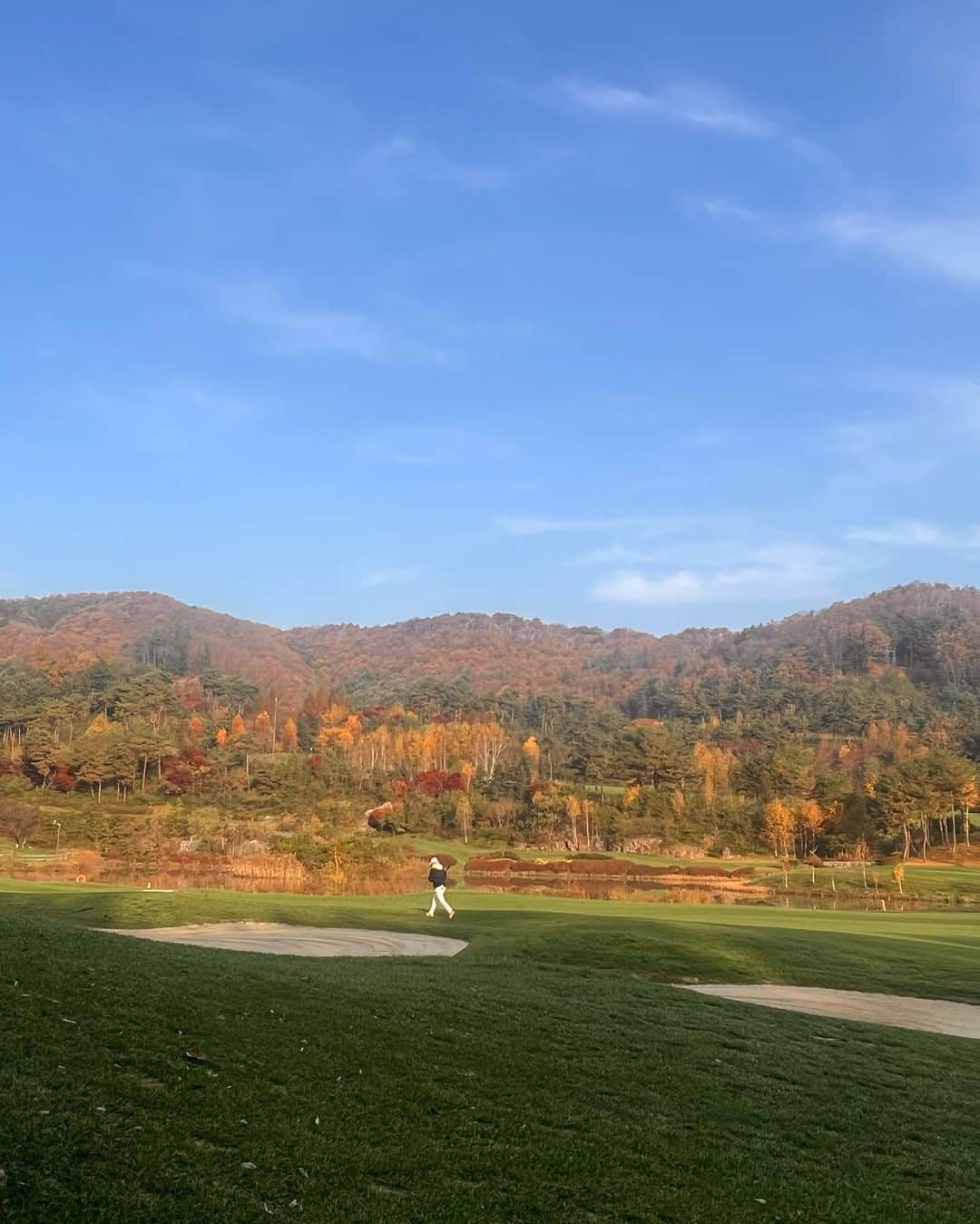 ソン・ジョンホさんのインスタグラム写真 - (ソン・ジョンホInstagram)「가을색」11月1日 12時14分 - s.jongho