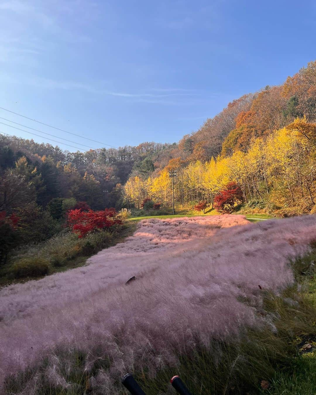 ソン・ジョンホさんのインスタグラム写真 - (ソン・ジョンホInstagram)「가을색」11月1日 12時14分 - s.jongho