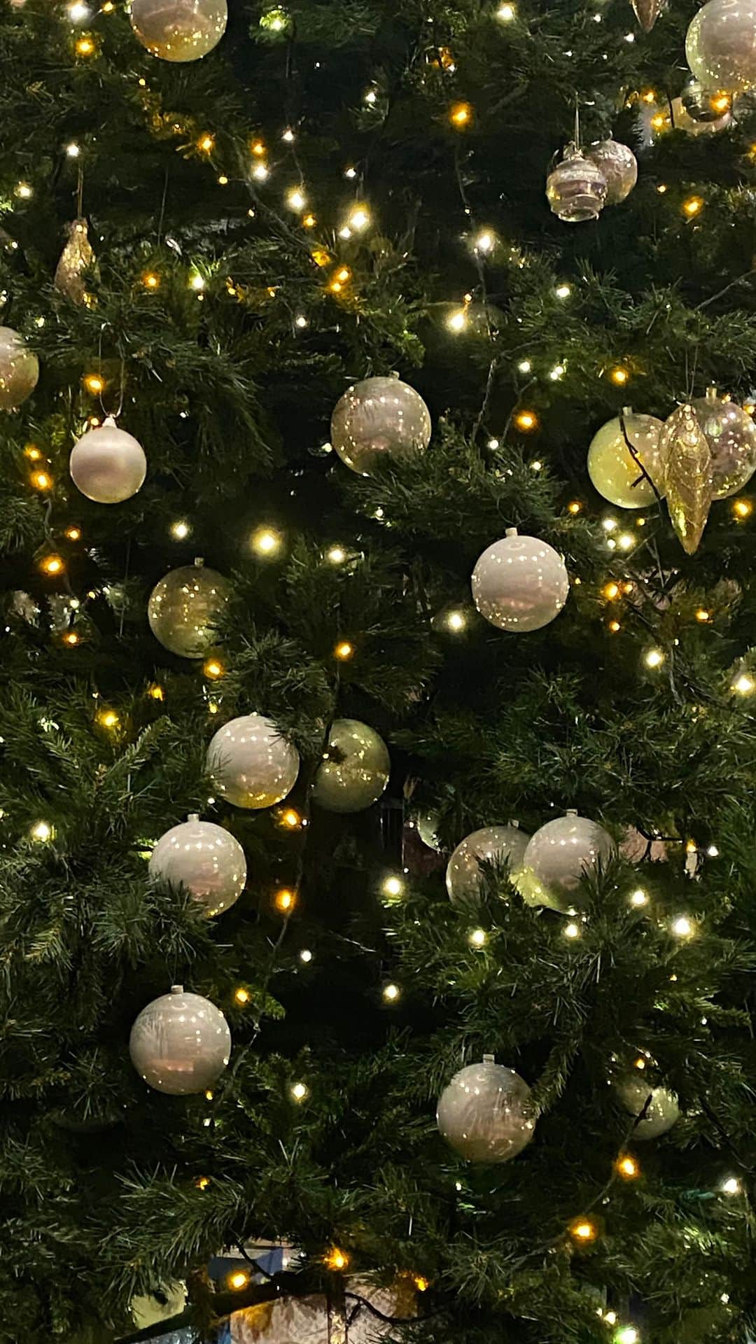 ANA CROWNE PLAZA TOYAMAのインスタグラム：「2023.11.1 ホテルのロビーにクリスマスツリーが登場🌲✨ 今年もたくさんのお客様に見ていただけると嬉しいです☺️  ぜひロビーにお立ち寄りください！  #anaクラウンプラザホテル富山  #クリスマスツリー  #クリスマス #富山  #christmas」