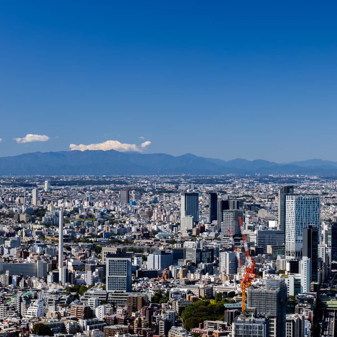 Tokyo City View 六本木ヒルズ展望台のインスタグラム：「本日、六本木ヒルズ周辺は青空が広がり、爽やかで気持ちの良い天気🌞 東京シティビューでは、大都会の街並みから遠くの景色まで見晴らしていただけます。 富士山もご覧いただけるかも！  東京シティビュー（六本木ヒルズ森タワー52F） tcv.roppongihills.com/jp  撮影：荒谷良一  #六本木ヒルズ展望台 #東京シティビュー #展望台 #夕景 #富士山 #景色 #荒谷良一 #RoppongiHillsObservation #TokyoCityView #TCV #mtfuji #mtfujiphoto_ig #mtfujijapan #mtfuji_fpn #Tokyo # #japantravel #tokyo #roppongi #RyoichiAratani #travelgram #japantrip #japan_daytime_view #japan_of_insta #bestjapanpics #tokyomuseum #artoftheday」