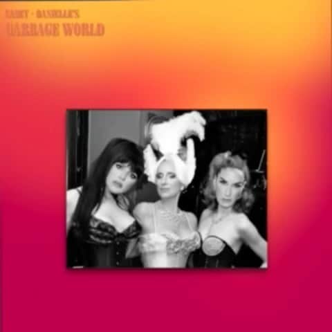 ケイシー・ウィルソンのインスタグラム：「Thank you to everyone who submitted costumes this year, you all are such a bright spot. Endless thanks to @sonjatmorgan for judging @deannamcheng for guesting and making our gorgeous montage @themontagequeen and @themattgrassi for being our perfect guest! The show can be seen over on Garbage World.」