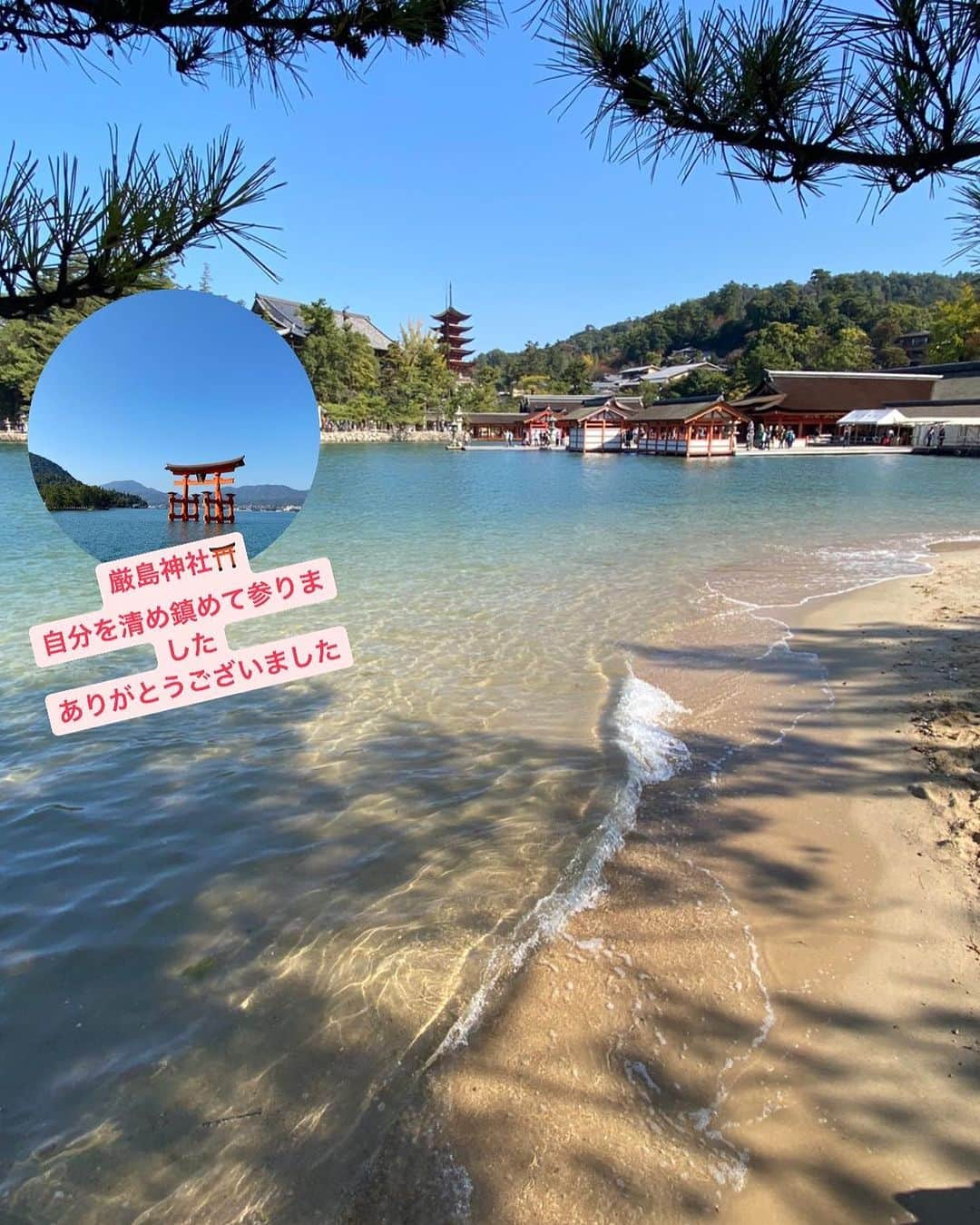 天沼知恵子さんのインスタグラム写真 - (天沼知恵子Instagram)「厳島神社⛩️ 1日参りが出来ました！ 11/1 11:11たぶん11秒🤣  見えない力も頂いて選手にパワー充電🔋して戻ります！！ 戻ってTOTO予定です！  もしかしたらセッティングに関わるかもしれないので古巣のキーパーさんと話してみたくて自主的にいってきます。 その立場になって出来なかったら困るのは自分ですから^_^ 出来る事から勉強📚してみます！  #厳島神社  #広島 #福山 #浄化  #パワースポット  #気を鎮める」11月1日 13時26分 - amanuma_chan.impact_a_body