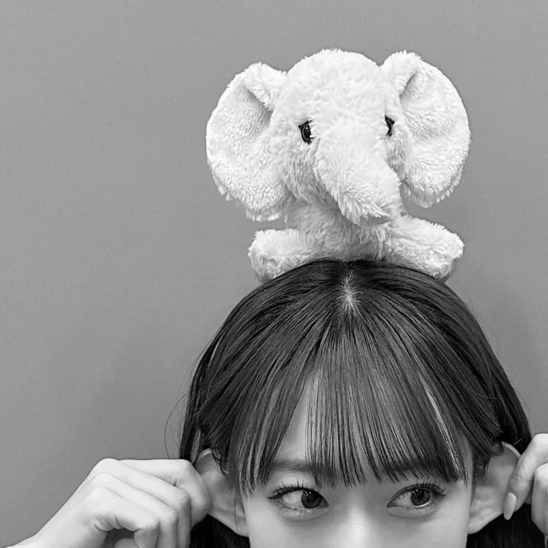 前田こころのインスタグラム：「.  11月もがんばるゾーウ  #beyooooonds #前田こころ」