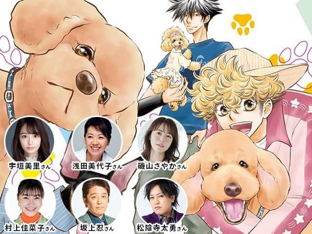 sippoのインスタグラム：「今日は犬の日！  アニメ化でも注目の「DOG SIGNAL」は、宇垣美里さん、浅田美代子さん、磯山さやかさん、村上佳菜子さん、坂上忍さん、松陰寺太勇さんも「教科書にすべき漫画」と絶賛。  みなさんの「うちのこ愛」も聞きました。  愛犬の「シグナル」をもっと知りたい飼い主さんは必読です！ https://sippo.asahi.com/article/15032087  #PR #KADOKAWA」