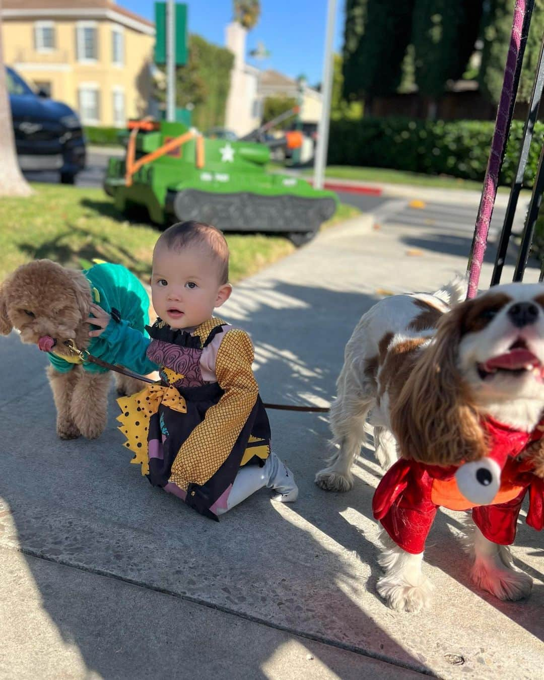 宮崎沙矢加さんのインスタグラム写真 - (宮崎沙矢加Instagram)「Halloween costume parade with this little Sally🧜‍♀️💙n mini🦖 . . . ナイトメアのサリー♥️ウィッグはすぐに取っちゃうし動き回ってなかなか写真がうまくとれない👶🏼🙌🏽  来年こそはパパとミシェルに混ざって一緒にコスチューム着よう😂って毎年言ってるけどw #halloween #halloweencostume #thenightmarebeforechristmas #babycostume #babyhalloween」11月1日 13時42分 - sarah___audrey