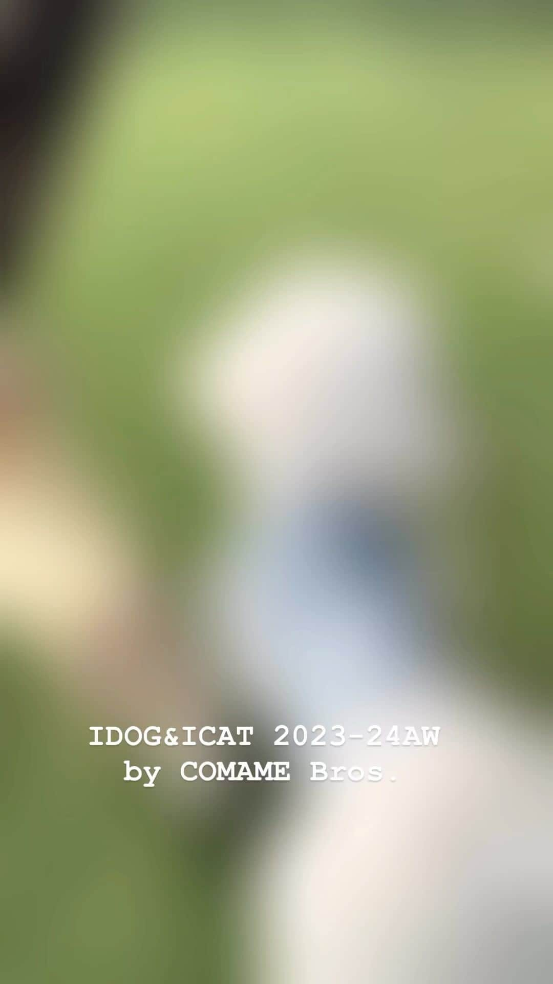 iDog&iCatのインスタグラム