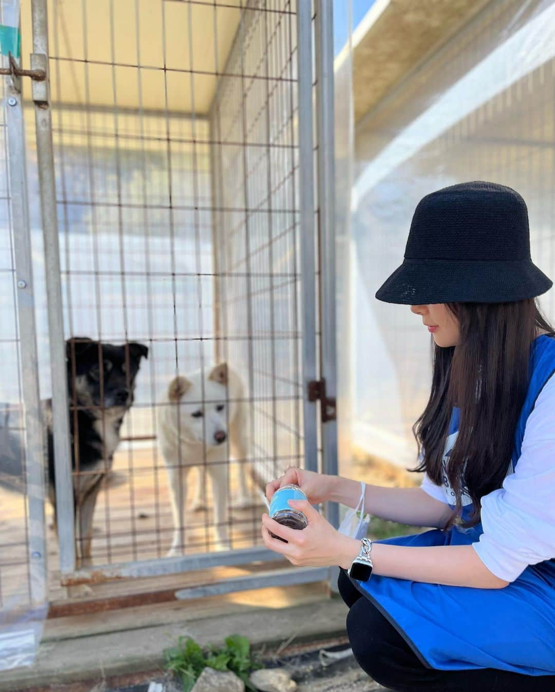 ガヨン さんのインスタグラム写真 - (ガヨン Instagram)「I’m 이번엔 방한 작업했어요~ 하루종일 멍멍이들 보다 비닐을 더 많이 봤어요 winter 다가오는데 아이들이 따뜻한 집에서 Love 듬뿍 받고 자랐으면 좋겠어요🫶🏻 코리안독스는 아이들을 훈련 시켜서 입양 보내주셔요 이쁜 puppy들이 많으니 많은 관심 가져주시면 I’m 행복해요 🐶💕  @kdsrescue #코리안독스 #레인보우쉼터 #블루엔젤봉사단 #유기견 #사지마세요입양하세요」11月1日 13時53分 - gy._.1202