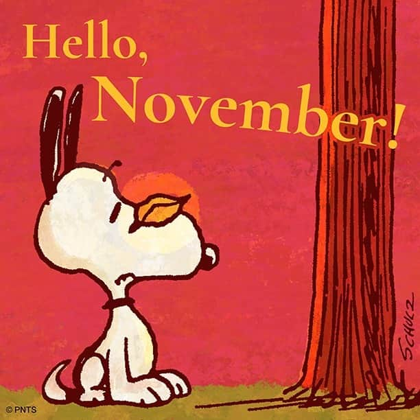 スヌーピーのインスタグラム：「Hello, November!」