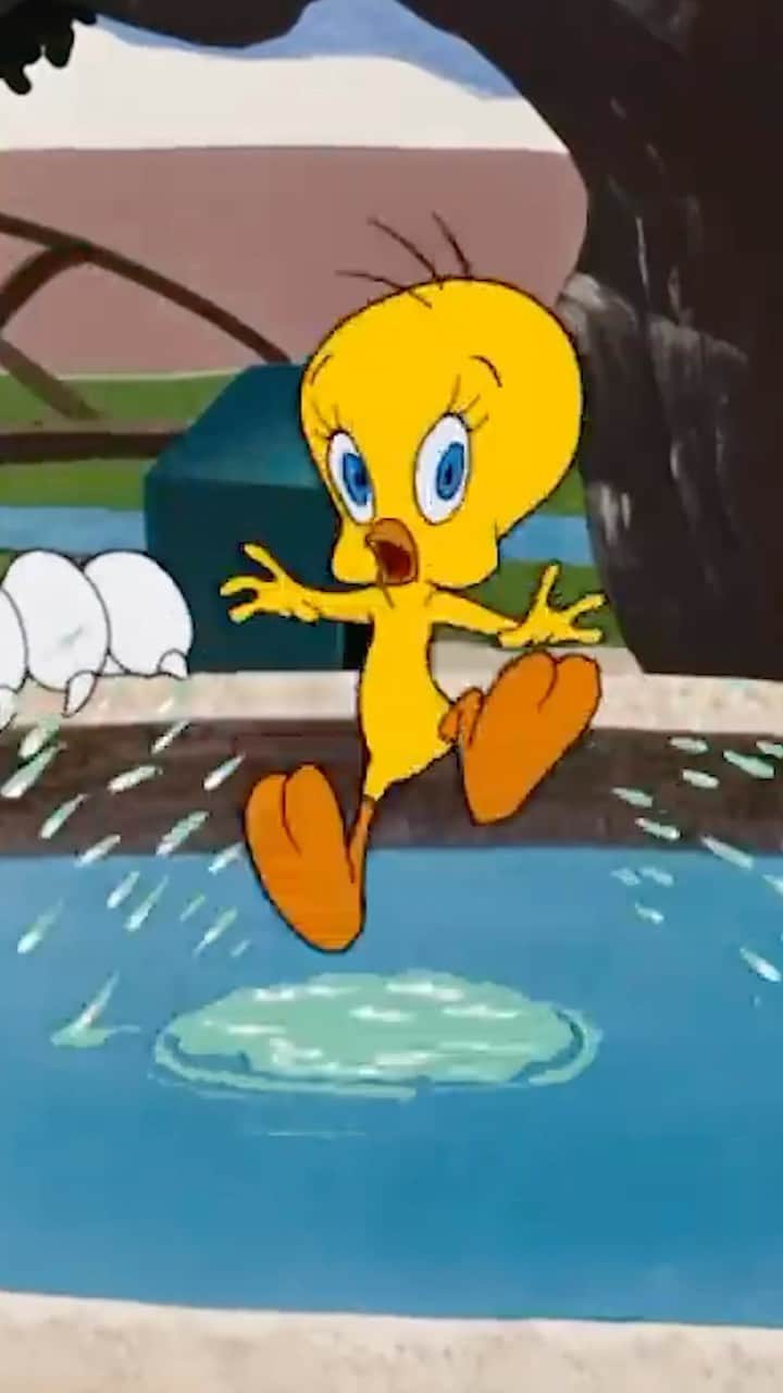 Looneyのインスタグラム：「He’s just always seeing that darn puddy tat」