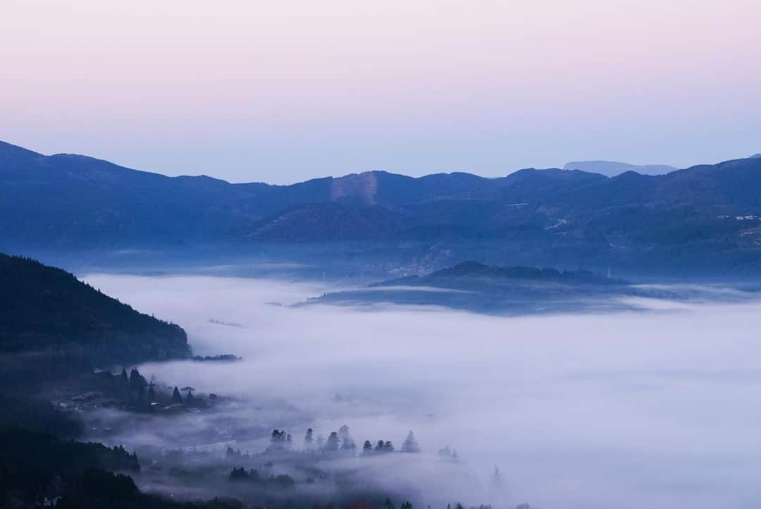 いぶくろ聖志のインスタグラム：「朝霧  #japan #camera #photography  #日本　#カメラ　#写真 #九州」