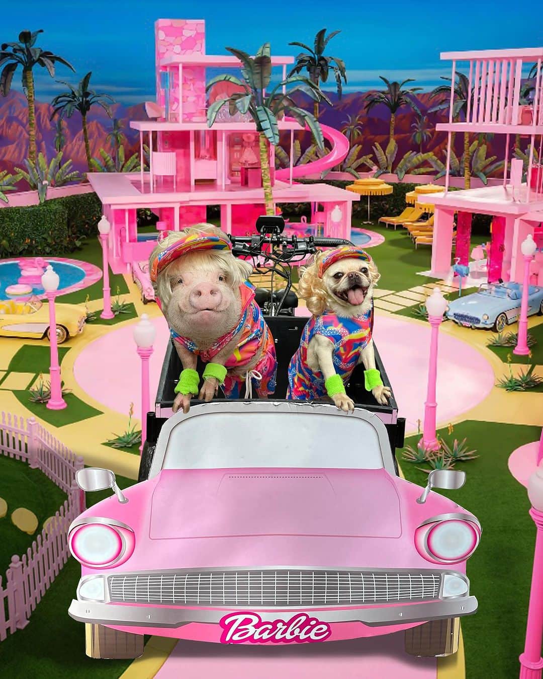 Priscilla and Poppletonさんのインスタグラム写真 - (Priscilla and PoppletonInstagram)「Hi Barbie💗! Hi Ken💗! We had the best Halloween ever cruising around in our @bunchbikes Dream Car. Check out our previous post for the video if you missed it #BunchBike #PoseyandPink #PiggyPenn #Pigtailthepug #PrissyandPop」11月1日 23時29分 - prissy_pig