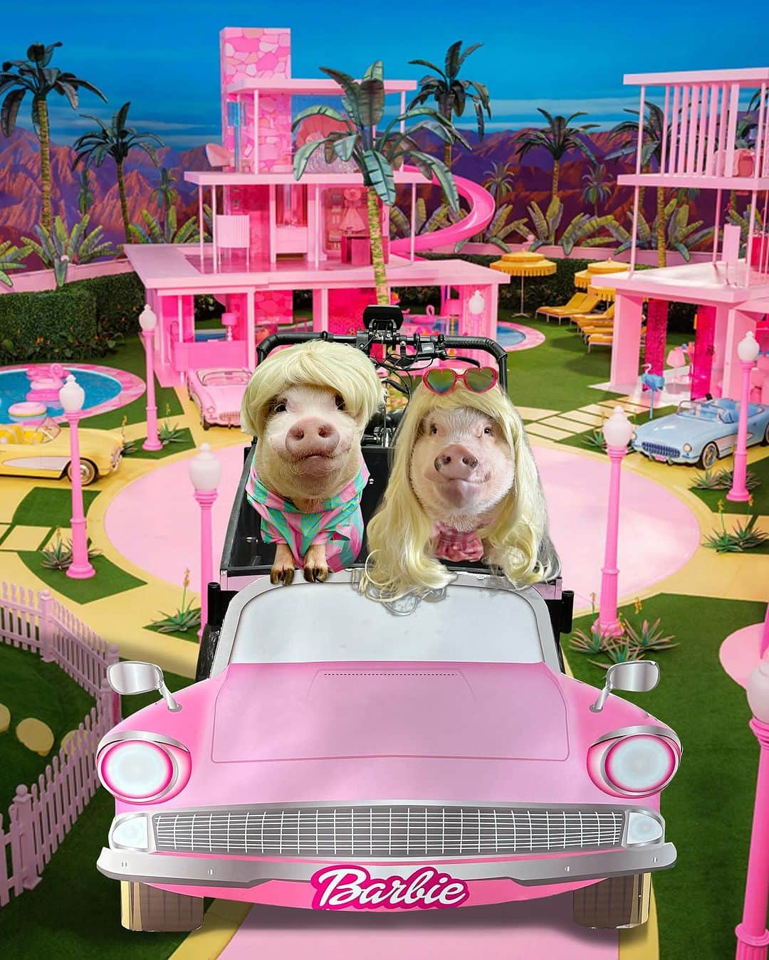 Priscilla and Poppletonのインスタグラム：「Hi Barbie💗! Hi Ken💗! We had the best Halloween ever cruising around in our @bunchbikes Dream Car. Check out our previous post for the video if you missed it #BunchBike #PoseyandPink #PiggyPenn #Pigtailthepug #PrissyandPop」