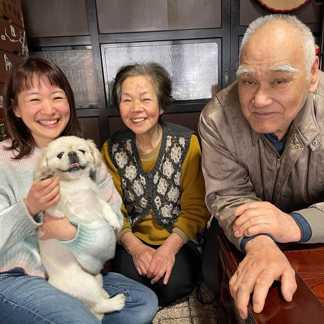 有田優理香さんのインスタグラム写真 - (有田優理香Instagram)「🐕  #犬の日   有田家のお犬たち。 いぬずーっとだいすきだよ🥰  #pekingese #ペキニーズ #トイプードル #犬好きな人と繋がりたい #11月1日 #わんわんわん」11月1日 23時46分 - yurikaa0624