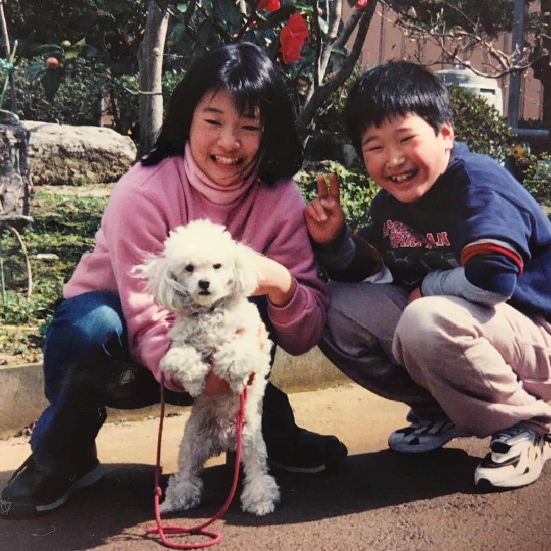 有田優理香さんのインスタグラム写真 - (有田優理香Instagram)「🐕  #犬の日   有田家のお犬たち。 いぬずーっとだいすきだよ🥰  #pekingese #ペキニーズ #トイプードル #犬好きな人と繋がりたい #11月1日 #わんわんわん」11月1日 23時46分 - yurikaa0624