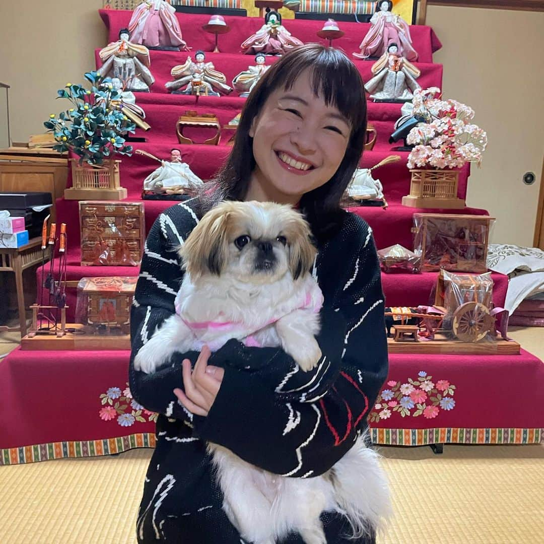 有田優理香さんのインスタグラム写真 - (有田優理香Instagram)「🐕  #犬の日   有田家のお犬たち。 いぬずーっとだいすきだよ🥰  #pekingese #ペキニーズ #トイプードル #犬好きな人と繋がりたい #11月1日 #わんわんわん」11月1日 23時46分 - yurikaa0624