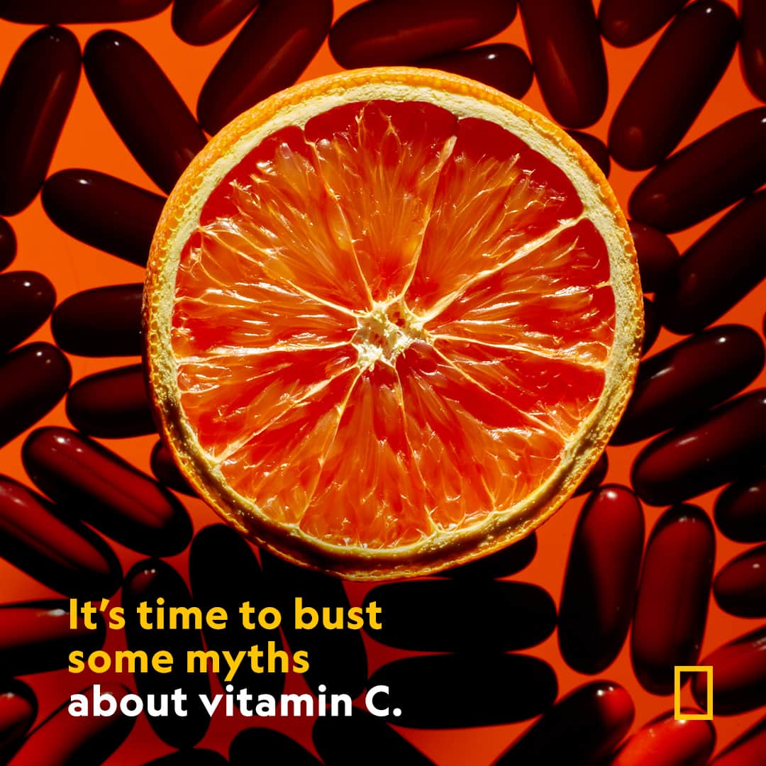 ナショナルジオグラフィックのインスタグラム：「Vitamin C is essential to powering your immune system which is why people load up on the nutrient during cold and flu season. But is it worth it—and can you overdo it? Find out at the link in bio.  Photograph by @beckythale」