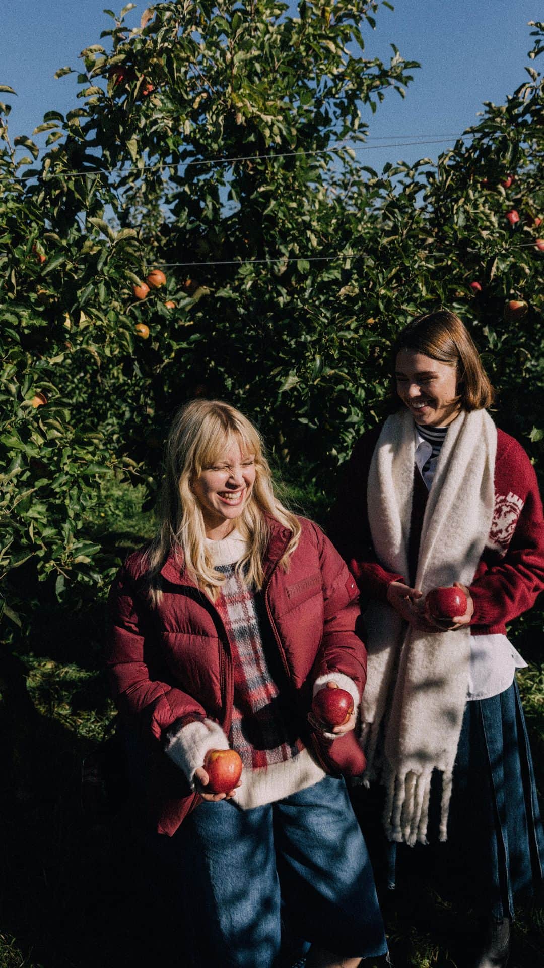 Tommy Hilfigerのインスタグラム：「Apple picking done in style. #ApplePicking」