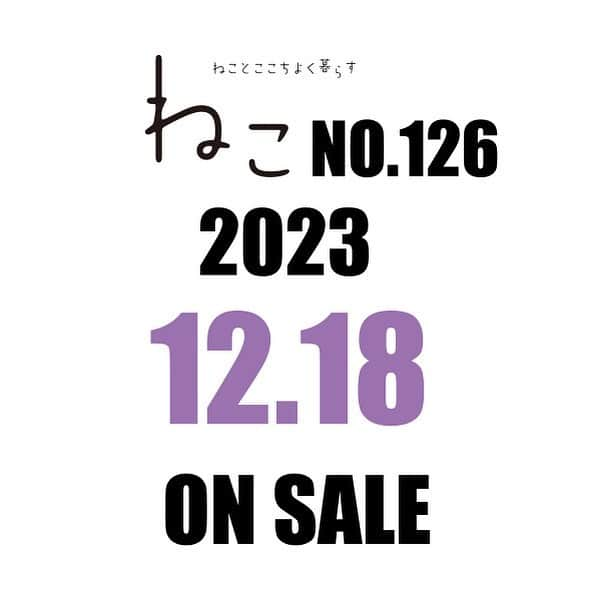 ねこのインスタグラム：「#雑誌ねこ126号   今回も⁉️売り切れちゃうかもしれないので、 予約必須です🤣  期待してお待ちください😻  💜💜💜💜さんが初登場しちゃうよ❣️  #雑誌ねこ #neko_magazine #cat #ねことここちよく暮らす #ねこと暮らす #ねこ #ねこすたぐらむ #ねこずきさんと繋がりたい #猫 #猫雑貨 #看板猫」