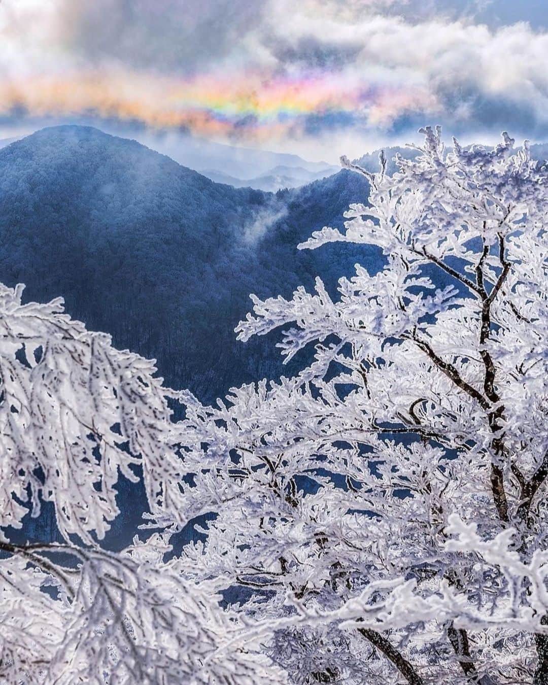 登山*トレッキング*アウトドア『.HYAKKEI』さんのインスタグラム写真 - (登山*トレッキング*アウトドア『.HYAKKEI』Instagram)「雪山はグリーンシーズンとはまた違う、自然の荘厳な美しさと力強さを感じます。 今回は死ぬまでに1度は行きたい、雪景色が美しい山～西日本編をお届けします。 一度この景色を見てしまうとやみつきになってしまいそうですね！ 詳細は下記の通りです。  1、伯耆大山／鳥取県 2、くじゅう連山／大分県 3、石鎚山／愛媛県 4、明神平／奈良県  Special　thanks！！ 1.  @yumika0121  さん 2.  @go_mitarai さん 3.  @hira.knj さん 4.  @susu.kou さん  #hyakkeime #登山 #トレッキング #山登り #雪山 #雲 #絶景 #心躍る景色」11月2日 0時42分 - hyakkei_me