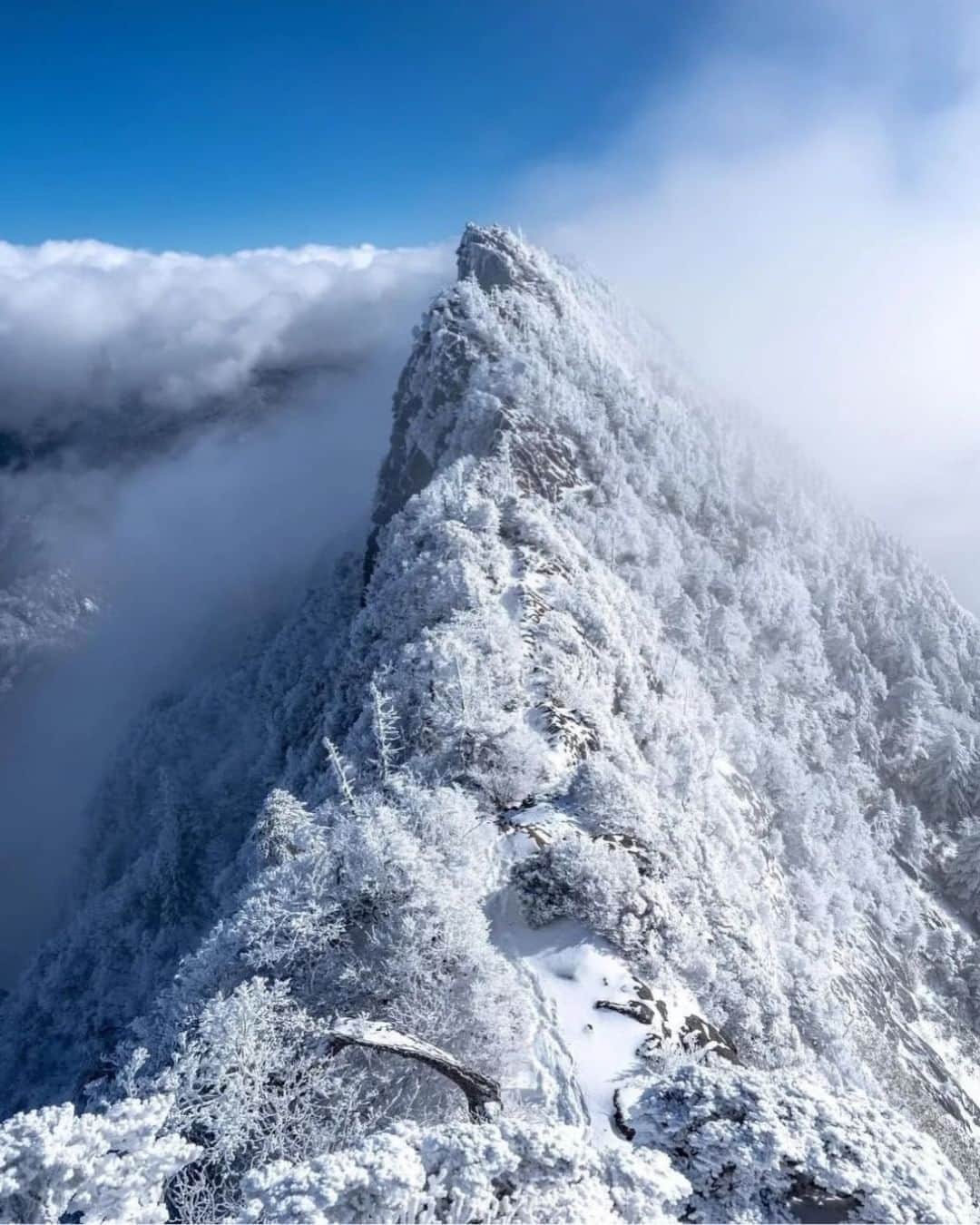 登山*トレッキング*アウトドア『.HYAKKEI』さんのインスタグラム写真 - (登山*トレッキング*アウトドア『.HYAKKEI』Instagram)「雪山はグリーンシーズンとはまた違う、自然の荘厳な美しさと力強さを感じます。 今回は死ぬまでに1度は行きたい、雪景色が美しい山～西日本編をお届けします。 一度この景色を見てしまうとやみつきになってしまいそうですね！ 詳細は下記の通りです。  1、伯耆大山／鳥取県 2、くじゅう連山／大分県 3、石鎚山／愛媛県 4、明神平／奈良県  Special　thanks！！ 1.  @yumika0121  さん 2.  @go_mitarai さん 3.  @hira.knj さん 4.  @susu.kou さん  #hyakkeime #登山 #トレッキング #山登り #雪山 #雲 #絶景 #心躍る景色」11月2日 0時42分 - hyakkei_me