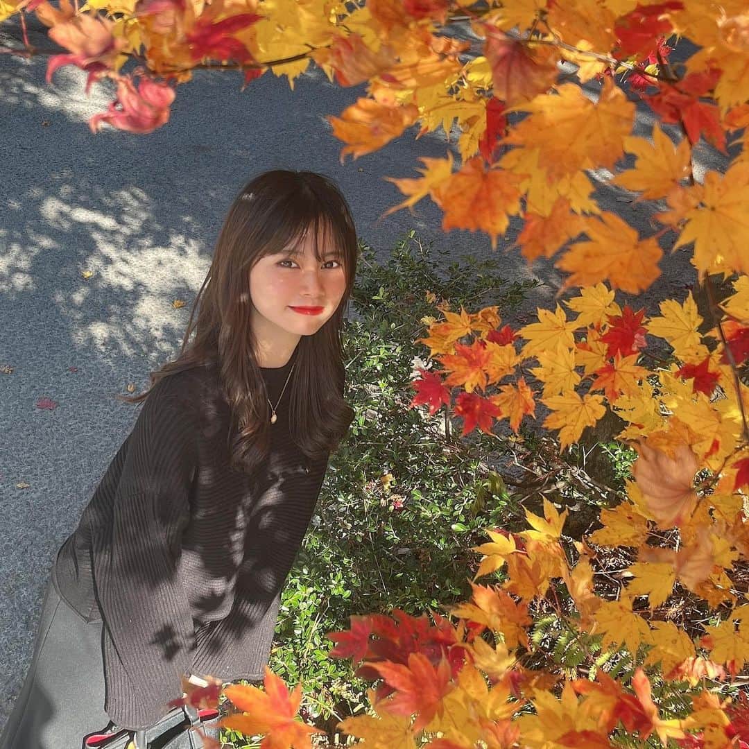 竹村佳奈さんのインスタグラム写真 - (竹村佳奈Instagram)「🍁🍂 今日から11月。 紅葉が綺麗」11月1日 15時49分 - takemura__kana