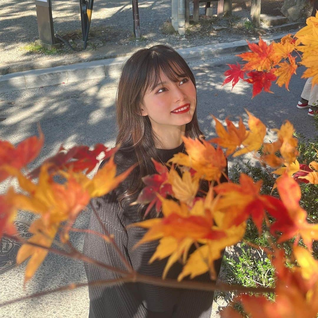 竹村佳奈のインスタグラム：「🍁🍂 今日から11月。 紅葉が綺麗」