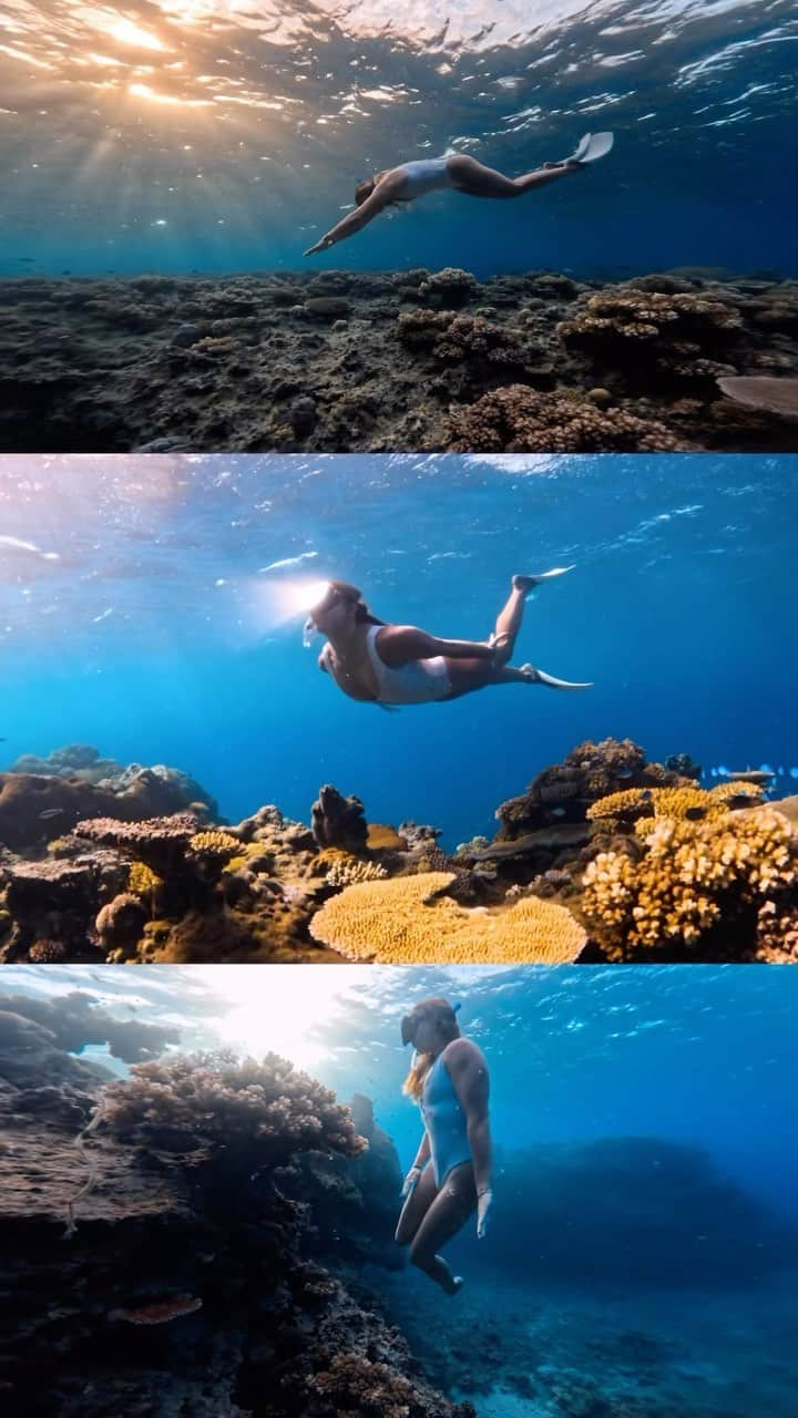 ローラ・マリノのインスタグラム：「Partening up with @chrisrogers at the @gopro Creator Summit 2023 in beautiful crystal blue water in Fiji 🇫🇯 🏝️   Spent a few hours free diving the Coral reef at MalaMala island and loved every minute of it!  Thank you so much @gopro for the opportunity and the event, @tourismfiji for the warm welcoming and inside discoveries 🙏🏻✨  🧜‍♀️ @_lauramarino  🎥 @chrisrogers with @gdomeglobal x #GoProHero12  @goprofr  #GoproCreatorSummit #gopro #tourismfiji #underwater #gdomeglobal」