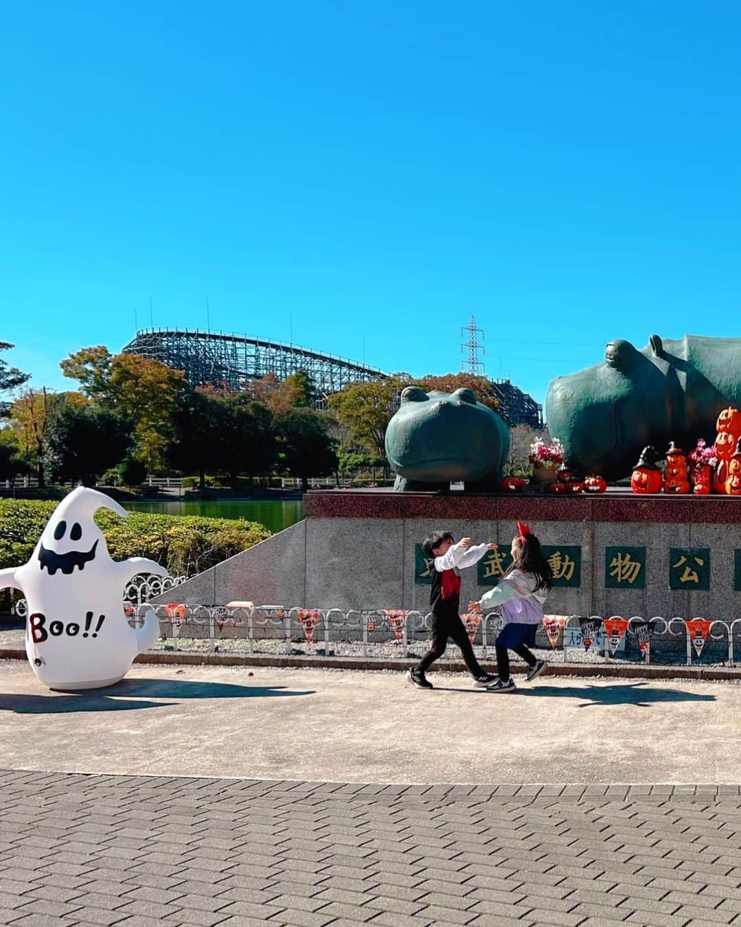 保田圭さんのインスタグラム写真 - (保田圭Instagram)「先日、息子の初デートで 東武動物公園へ🎶  今まで みんなでのお出かけはあったけど  女の子と2人でのお出かけは 初めて❤️😊😊❤️  2人はというと 終始ラブラブ🥰  可愛いの渋滞で 写真も動画も撮り過ぎた🩷💜🩷  でもこのラブラブ写真… 女の子のパパが見たら複雑な気持ちかな🤣笑  息子がね 『結婚することになっちゃった』 『指輪が必要かな？🙈💕』 だそうです🤣🤣🤣  可愛いなぁ💓  #初デート #5歳 #東武動物公園 #ヴァンパイアの衣装で行ったんだけどマントがないと伯爵っぽい」11月1日 15時57分 - keiyasuda1206