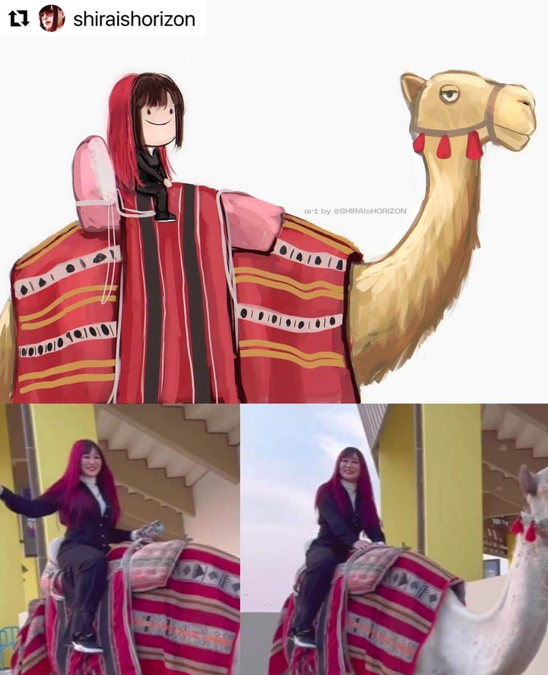 のインスタグラム：「🐪 🇸🇦」