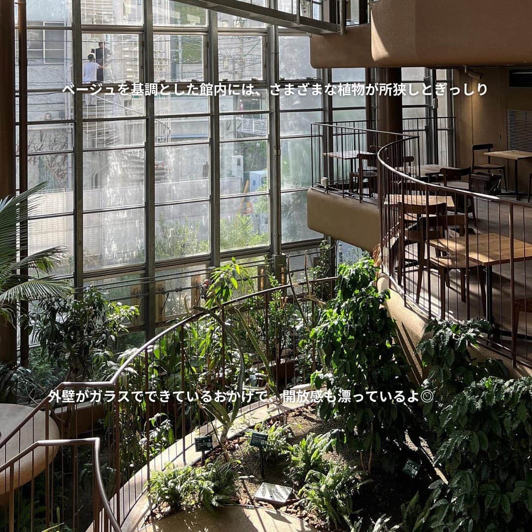 isutaさんのインスタグラム写真 - (isutaInstagram)「「日本で一番小さい植物園」と呼ばれる施設が、東京・渋谷にあるって知ってた？  2023年7月にリニューアルオープンした「渋谷区ふれあい植物センター」は、いま大注目のスポット。  10月5日（木）からは閉園時間が延長され、夜でも楽しめる植物園になったよ 🌙   普段と一味違う植物園が楽しめると、SNSを中心に話題を呼んでいるみたいだから、ぜひチェックしてみてね！  @shibuyakufureai   [渋谷区ふれあい植物センター] 住所：東京都渋谷区東2-25-37 開園時間：10:00～21:00　※入園は20:30まで 園内カフェ営業時間：ランチ 11:00〜15:00（L.O. 14:30）/ ディナー 17:00～21:00（L.O. food 20:00 / drink 20:30） 閉園日：月曜日、年末年始（12月29日～1月3日）※月曜祝日の場合翌日火曜休園 入園料：100円　※小学生未満と60歳以上は無料  photo by @hitoooomin_  @mkkrmc   ※お店の営業時間等は変更になる場合がございます。最新情報は公式HPやインスタグラムなどをご確認ください。  ✄————————✄  姉妹アカウント @i_am_isuta も更新中  isuta編集部の日常のひとコマや 取材の最新レポを発信しているよ️˖°  ほかにも、エディターが気になる カフェやファッション、コスメをご紹介.・* ぜひフォローしてね️  ✄————————✄  #isuta#isutapic#イスタ #渋谷区ふれあい植物センター#ライトアップ  #カフェスタグラム#カフェ時間#カフェ巡り#カフェ活 #渋谷カフェ#渋谷グルメ#渋谷ディナー#植物園 #植物好き#植物が好き#植物が好きな人と繋がりたい #植物好きと繋がりたい#夜の植物園#緑がいっぱい #緑が綺麗#モヒート#ハンバーグ#癒しスポット #リラックスタイム#フォトスポット#休日のすごしかた #休日ご飯#お出かけ情報#お出かけ好き#おでかけスポット」11月1日 18時45分 - isuta_jp