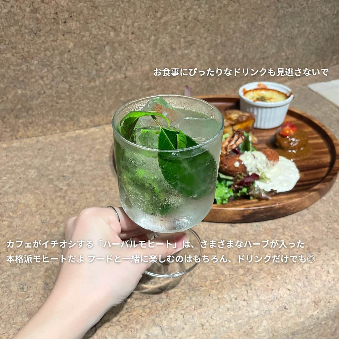 isutaさんのインスタグラム写真 - (isutaInstagram)「「日本で一番小さい植物園」と呼ばれる施設が、東京・渋谷にあるって知ってた？  2023年7月にリニューアルオープンした「渋谷区ふれあい植物センター」は、いま大注目のスポット。  10月5日（木）からは閉園時間が延長され、夜でも楽しめる植物園になったよ 🌙   普段と一味違う植物園が楽しめると、SNSを中心に話題を呼んでいるみたいだから、ぜひチェックしてみてね！  @shibuyakufureai   [渋谷区ふれあい植物センター] 住所：東京都渋谷区東2-25-37 開園時間：10:00～21:00　※入園は20:30まで 園内カフェ営業時間：ランチ 11:00〜15:00（L.O. 14:30）/ ディナー 17:00～21:00（L.O. food 20:00 / drink 20:30） 閉園日：月曜日、年末年始（12月29日～1月3日）※月曜祝日の場合翌日火曜休園 入園料：100円　※小学生未満と60歳以上は無料  photo by @hitoooomin_  @mkkrmc   ※お店の営業時間等は変更になる場合がございます。最新情報は公式HPやインスタグラムなどをご確認ください。  ✄————————✄  姉妹アカウント @i_am_isuta も更新中  isuta編集部の日常のひとコマや 取材の最新レポを発信しているよ️˖°  ほかにも、エディターが気になる カフェやファッション、コスメをご紹介.・* ぜひフォローしてね️  ✄————————✄  #isuta#isutapic#イスタ #渋谷区ふれあい植物センター#ライトアップ  #カフェスタグラム#カフェ時間#カフェ巡り#カフェ活 #渋谷カフェ#渋谷グルメ#渋谷ディナー#植物園 #植物好き#植物が好き#植物が好きな人と繋がりたい #植物好きと繋がりたい#夜の植物園#緑がいっぱい #緑が綺麗#モヒート#ハンバーグ#癒しスポット #リラックスタイム#フォトスポット#休日のすごしかた #休日ご飯#お出かけ情報#お出かけ好き#おでかけスポット」11月1日 18時45分 - isuta_jp