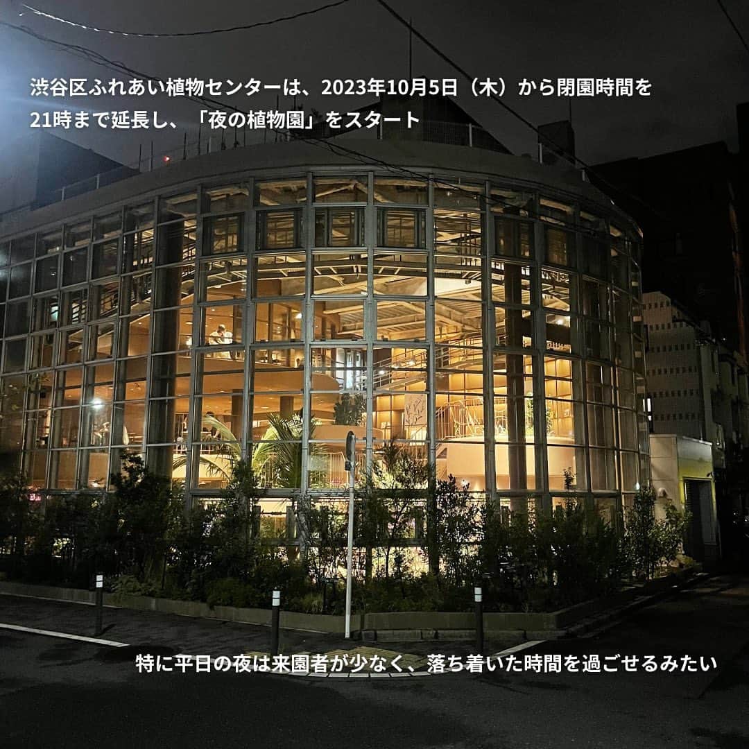 isutaさんのインスタグラム写真 - (isutaInstagram)「「日本で一番小さい植物園」と呼ばれる施設が、東京・渋谷にあるって知ってた？  2023年7月にリニューアルオープンした「渋谷区ふれあい植物センター」は、いま大注目のスポット。  10月5日（木）からは閉園時間が延長され、夜でも楽しめる植物園になったよ 🌙   普段と一味違う植物園が楽しめると、SNSを中心に話題を呼んでいるみたいだから、ぜひチェックしてみてね！  @shibuyakufureai   [渋谷区ふれあい植物センター] 住所：東京都渋谷区東2-25-37 開園時間：10:00～21:00　※入園は20:30まで 園内カフェ営業時間：ランチ 11:00〜15:00（L.O. 14:30）/ ディナー 17:00～21:00（L.O. food 20:00 / drink 20:30） 閉園日：月曜日、年末年始（12月29日～1月3日）※月曜祝日の場合翌日火曜休園 入園料：100円　※小学生未満と60歳以上は無料  photo by @hitoooomin_  @mkkrmc   ※お店の営業時間等は変更になる場合がございます。最新情報は公式HPやインスタグラムなどをご確認ください。  ✄————————✄  姉妹アカウント @i_am_isuta も更新中  isuta編集部の日常のひとコマや 取材の最新レポを発信しているよ️˖°  ほかにも、エディターが気になる カフェやファッション、コスメをご紹介.・* ぜひフォローしてね️  ✄————————✄  #isuta#isutapic#イスタ #渋谷区ふれあい植物センター#ライトアップ  #カフェスタグラム#カフェ時間#カフェ巡り#カフェ活 #渋谷カフェ#渋谷グルメ#渋谷ディナー#植物園 #植物好き#植物が好き#植物が好きな人と繋がりたい #植物好きと繋がりたい#夜の植物園#緑がいっぱい #緑が綺麗#モヒート#ハンバーグ#癒しスポット #リラックスタイム#フォトスポット#休日のすごしかた #休日ご飯#お出かけ情報#お出かけ好き#おでかけスポット」11月1日 18時45分 - isuta_jp