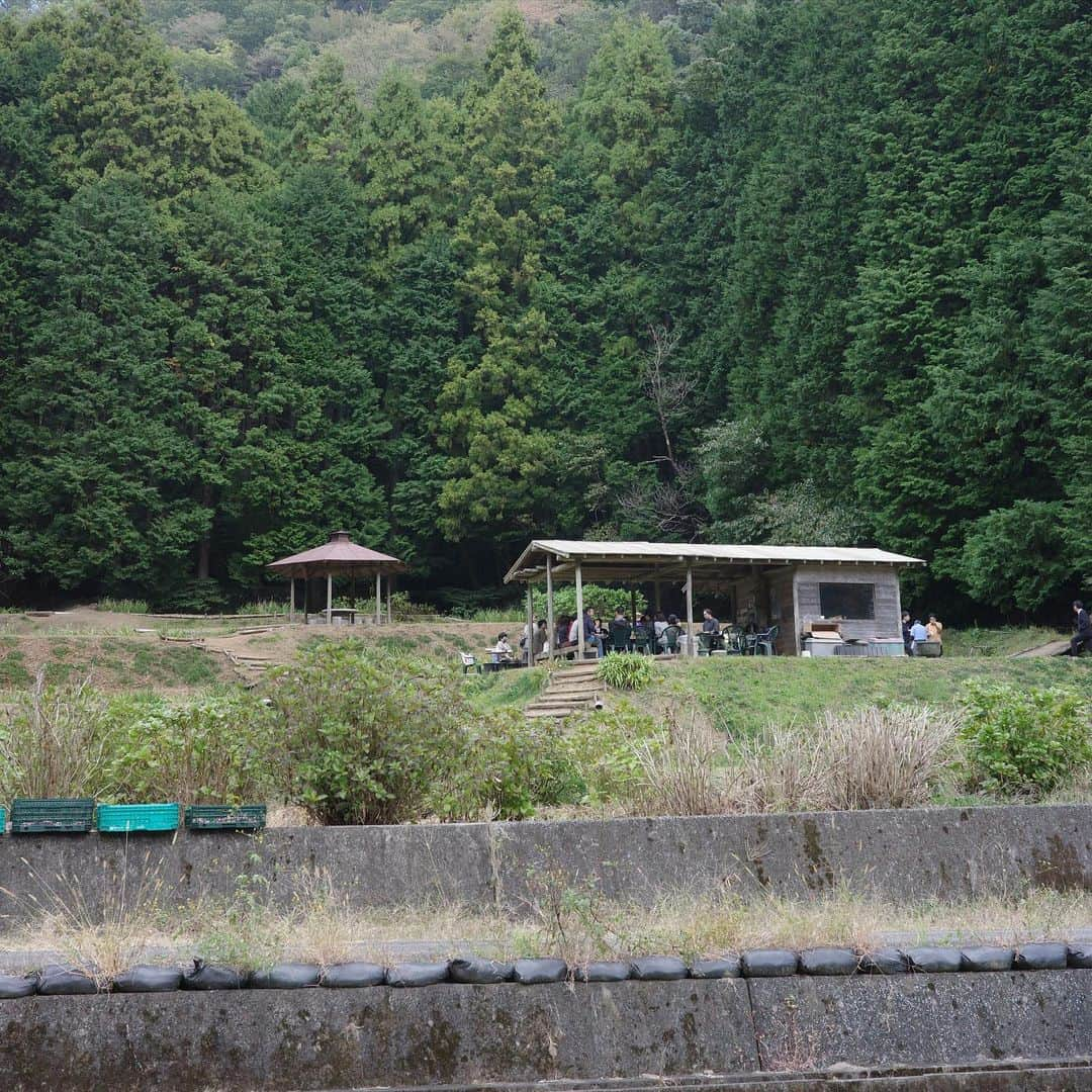 新井郁さんのインスタグラム写真 - (新井郁Instagram)「大自然の真ん中へ🌱  ここは、静岡県伊東市にある池の田んぼ。 NHK BS「歩くひと」のロケでお世話になった 思い出深い大切な場所です🫶🏻 （田んぼの畦道を自転車に乗って歌ったな~）  農園のお父さんお手製の小屋の下で ロケーションジャパンの皆さまと 新米のおにぎりをいただいたり、🌾✨ 竹筒を切ってスイートポテト作ったり！🍠 自家焙煎のコーヒーは沁みた…☺️☕️  とっても素敵な時間を過ごせてリスタート！ たくさんのパワーをもらいました🫶🏻 お父さん、たくさんお話してくれて ありがとうございました！またね~~~  また帰れますように。 こういう場所があることが私の財産🌱幸せだ。」11月1日 16時41分 - araiiku_official